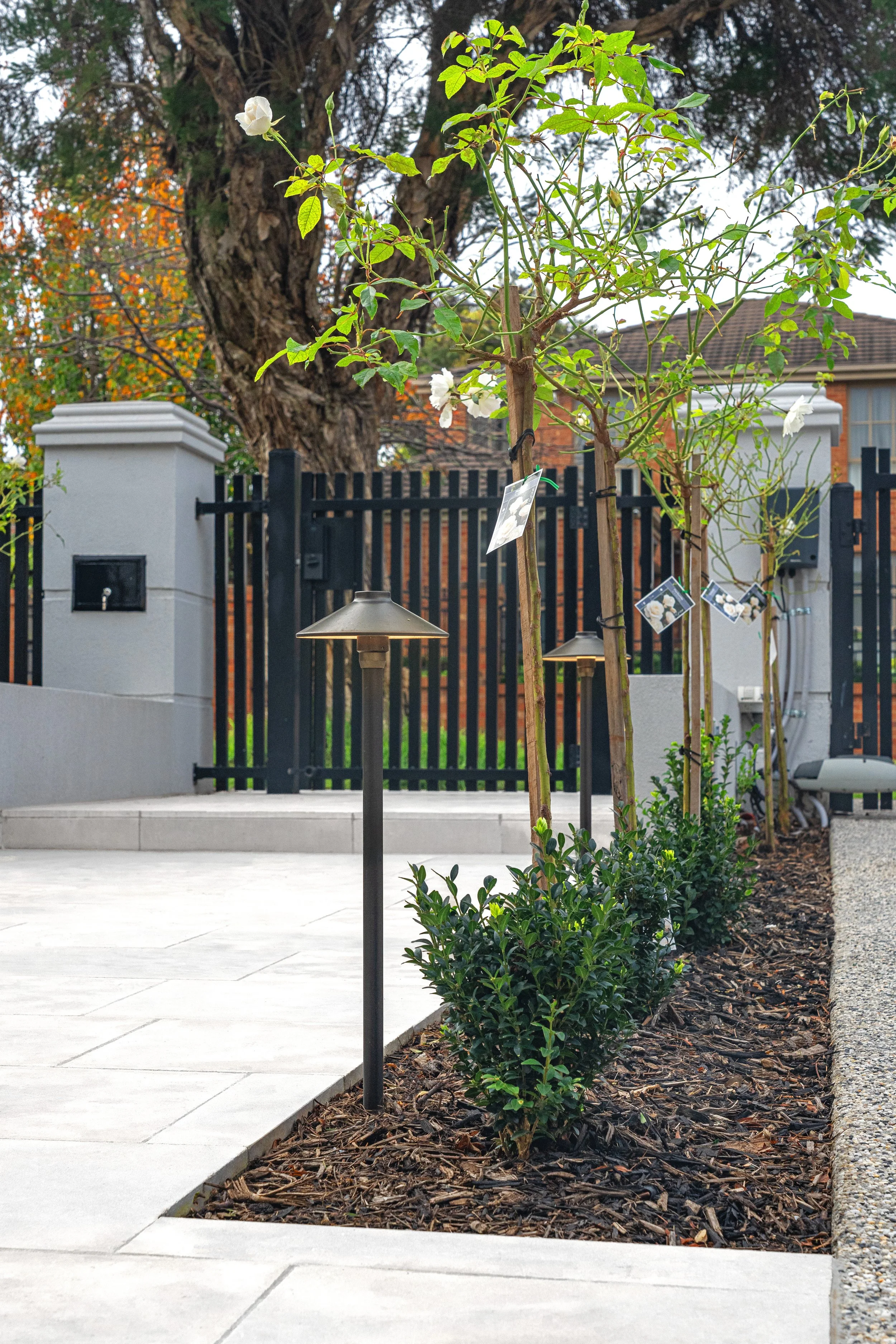 A landscaped outdoor area with small bushes, a tree with white flowers, and a black metal fence in the background. There are two modern outdoor lamps on posts and a paved concrete walkway.
