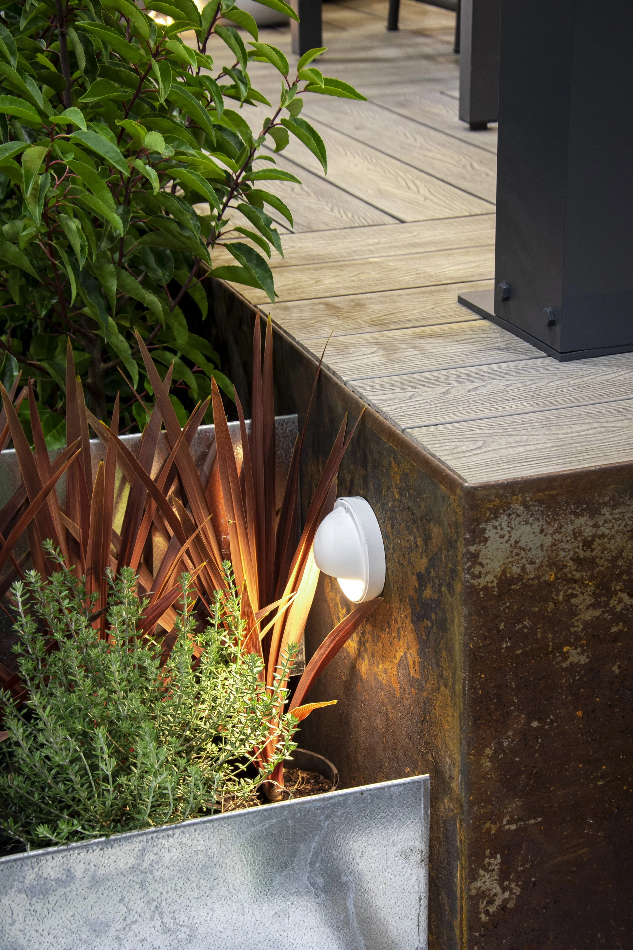 The led light installed at the side of the timber decking illuminaing the garden bed, casting shadows and enhancing level difference.