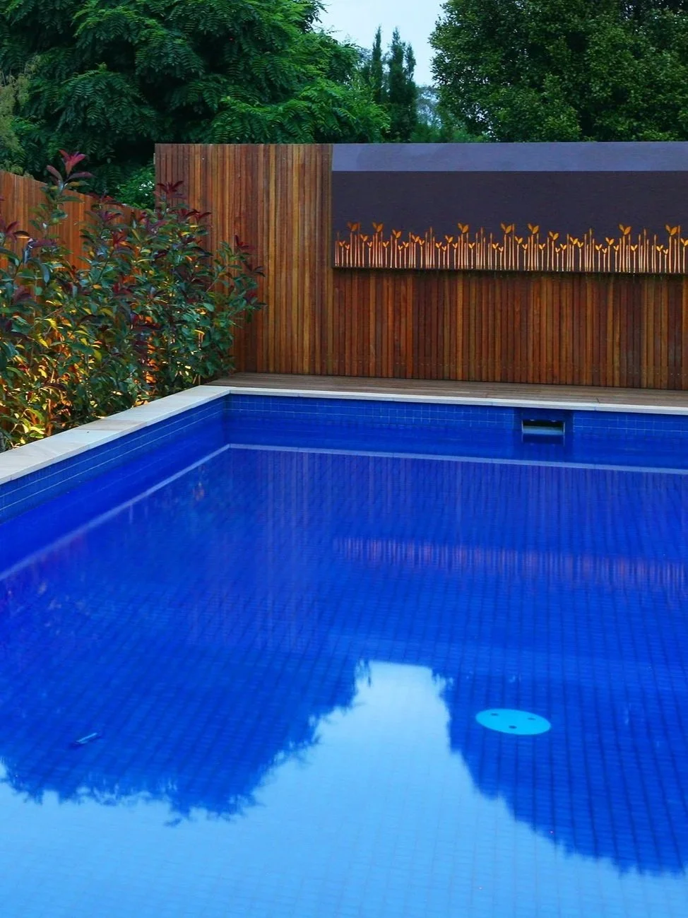 The highly saturated blue pool tile and the dark brownish tiber fence creates an interesting dynamic and contrast in the backyard.