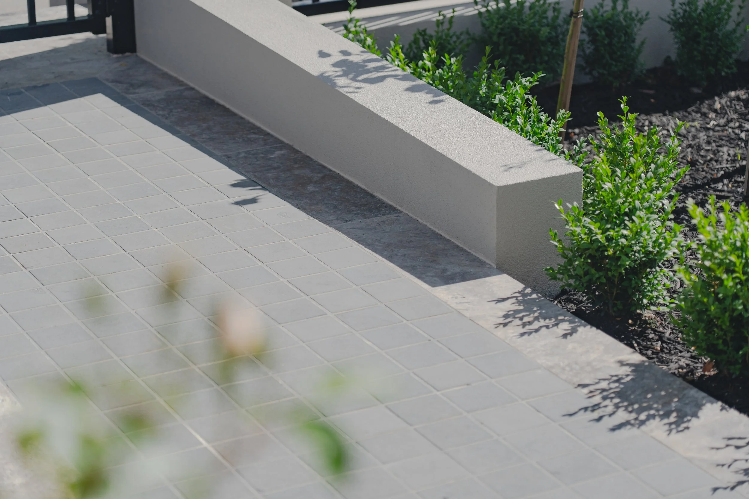 Close-up of a garden bed with green shrubs, bordered by a concrete wall and a tiled walkway.