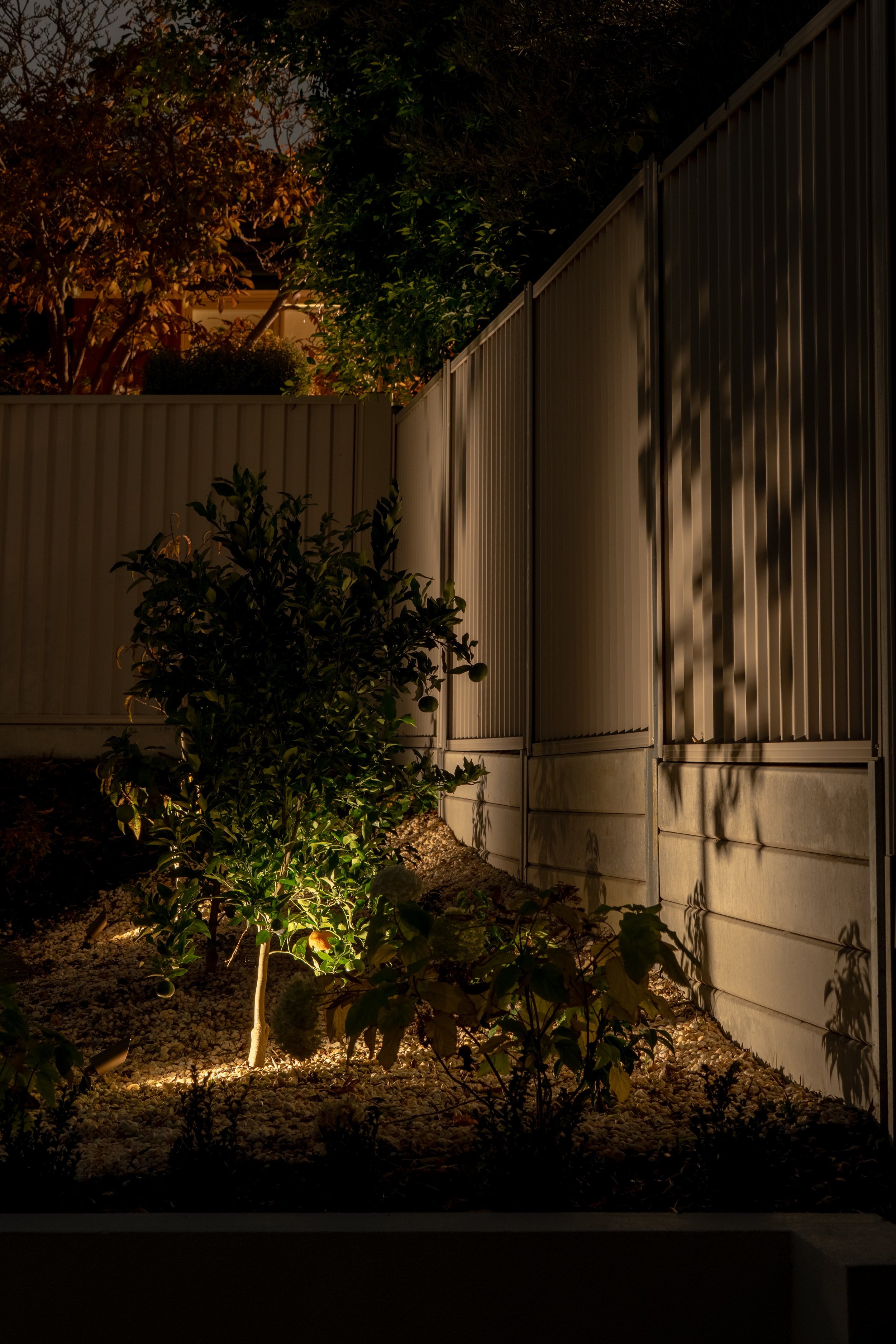 Nighttime garden scene with illuminated plants and gravel, next to a beige metal fence and trees in the background.