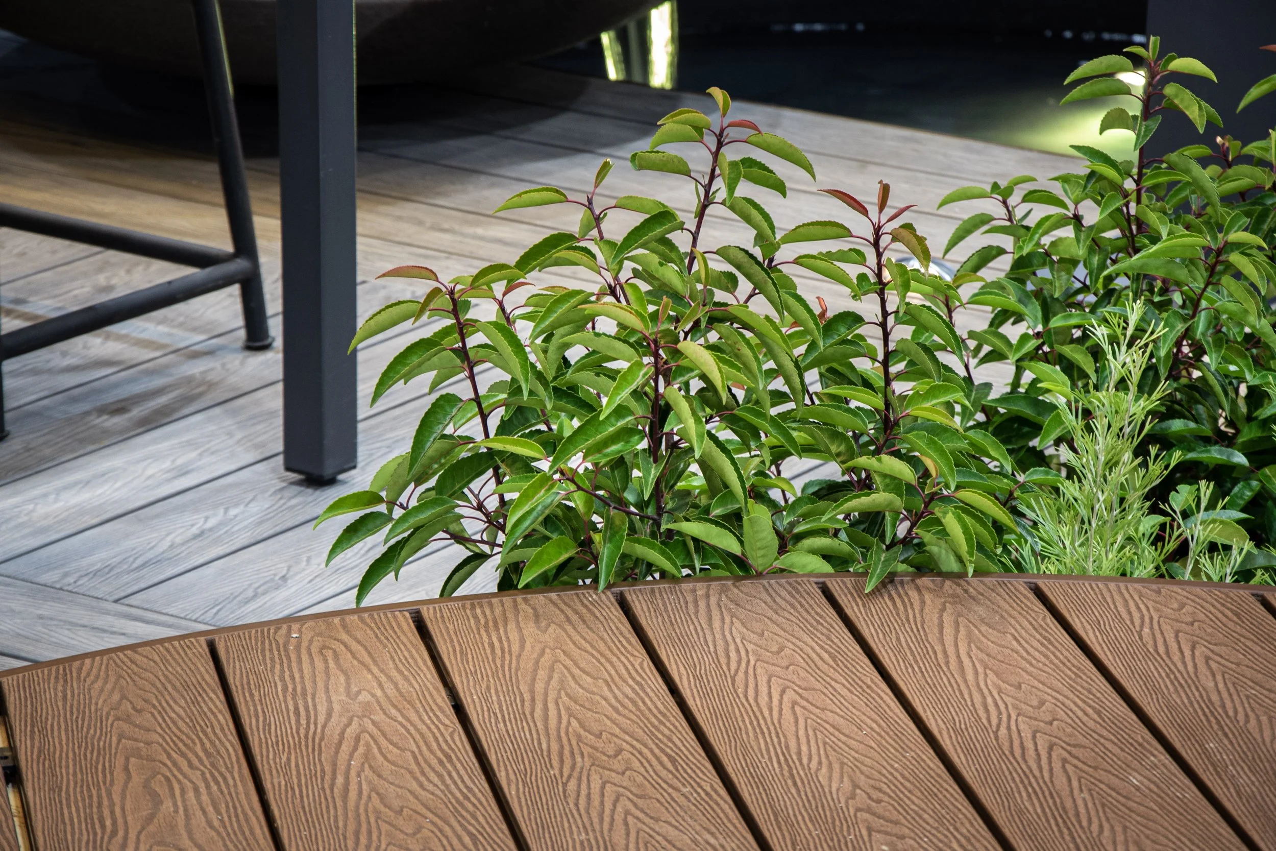Plants with green leaves grow in the background next to a wooden table with a textured surface, on a deck with wooden planks. There are metal furniture legs visible.