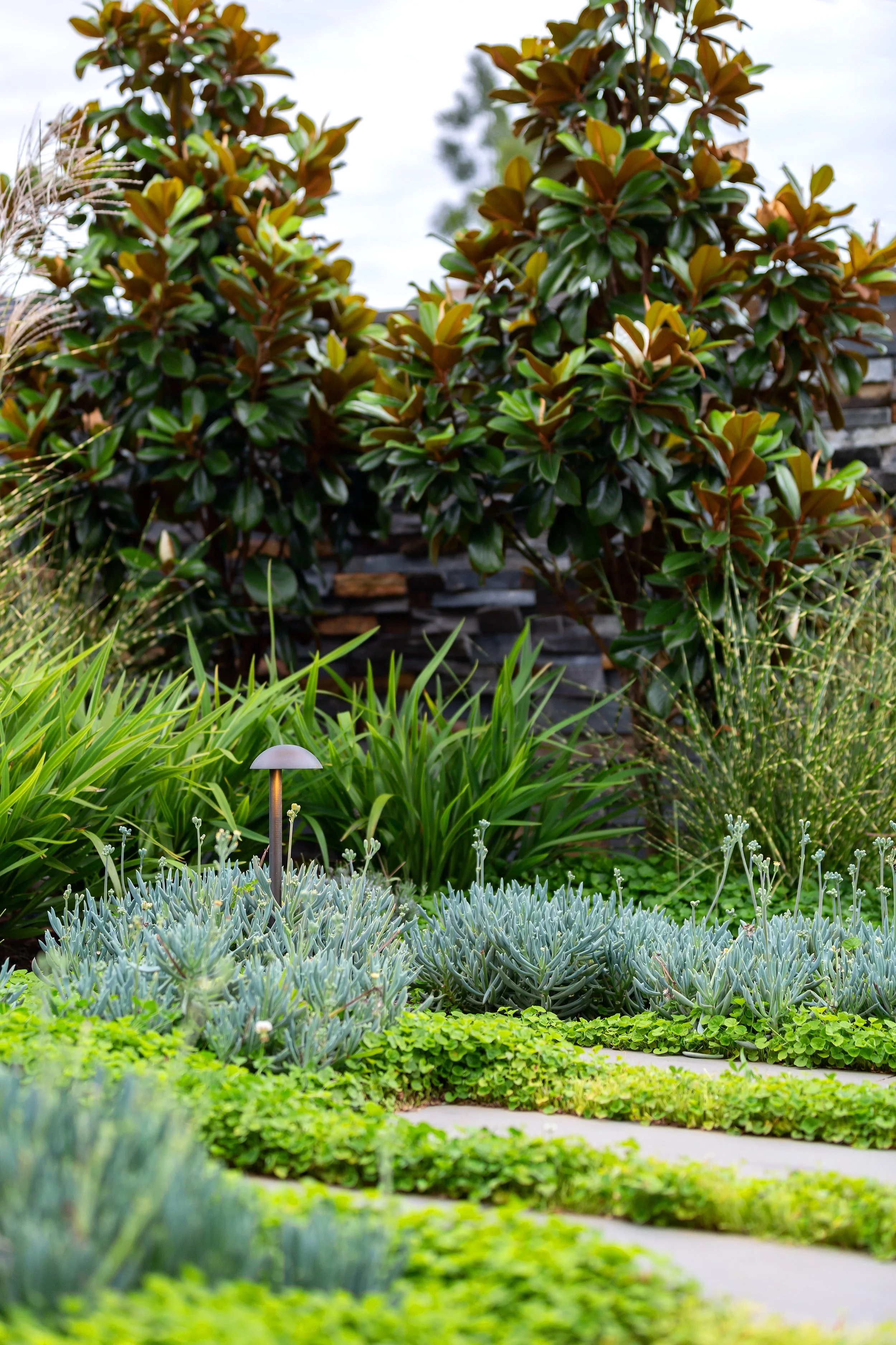 The front garden stepping stones are surrounded with carefully chosen evergreen vegetations, with details like the led light illuminating the garden.