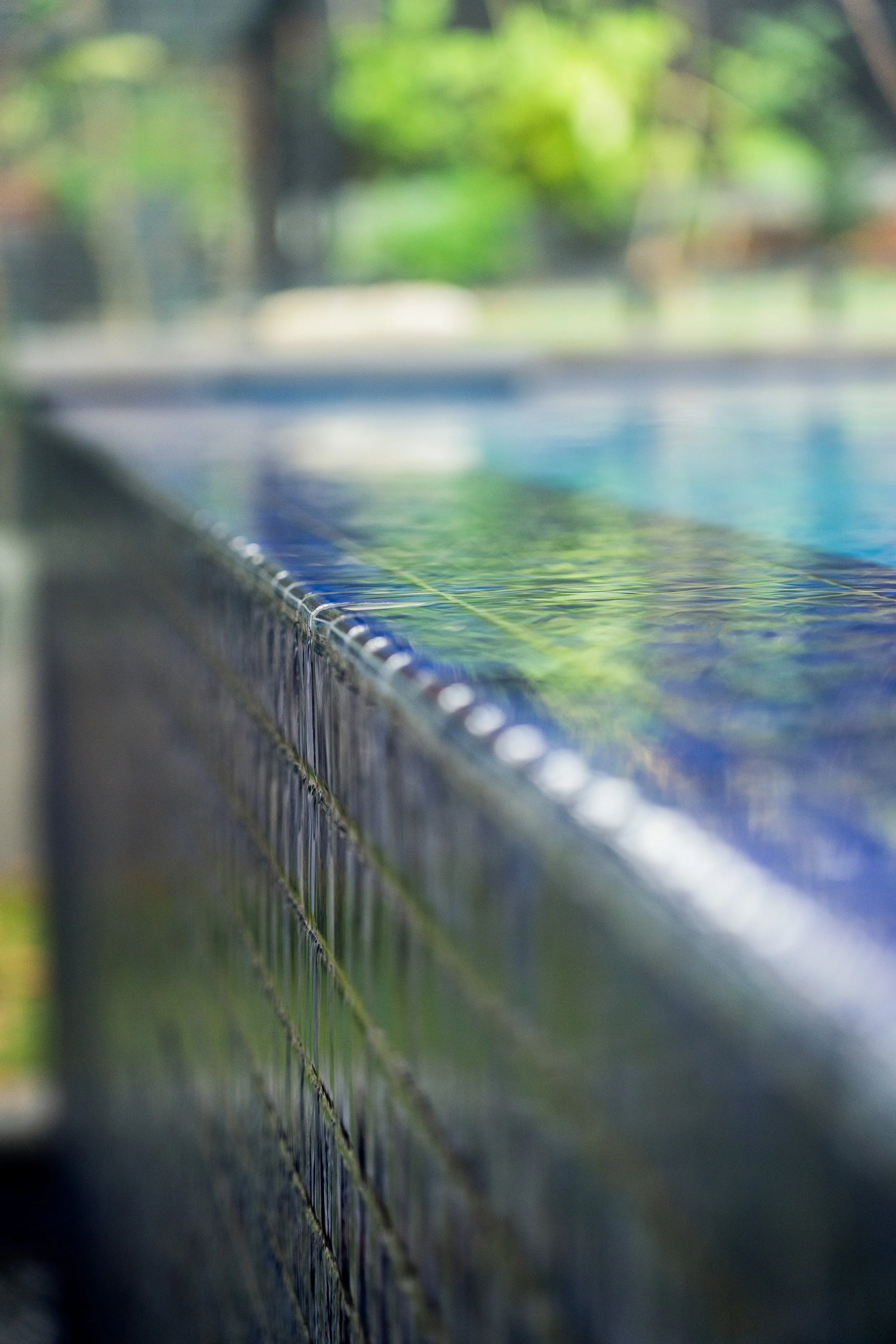 Close-up of a wet tiled surface with a blurred green outdoor background.