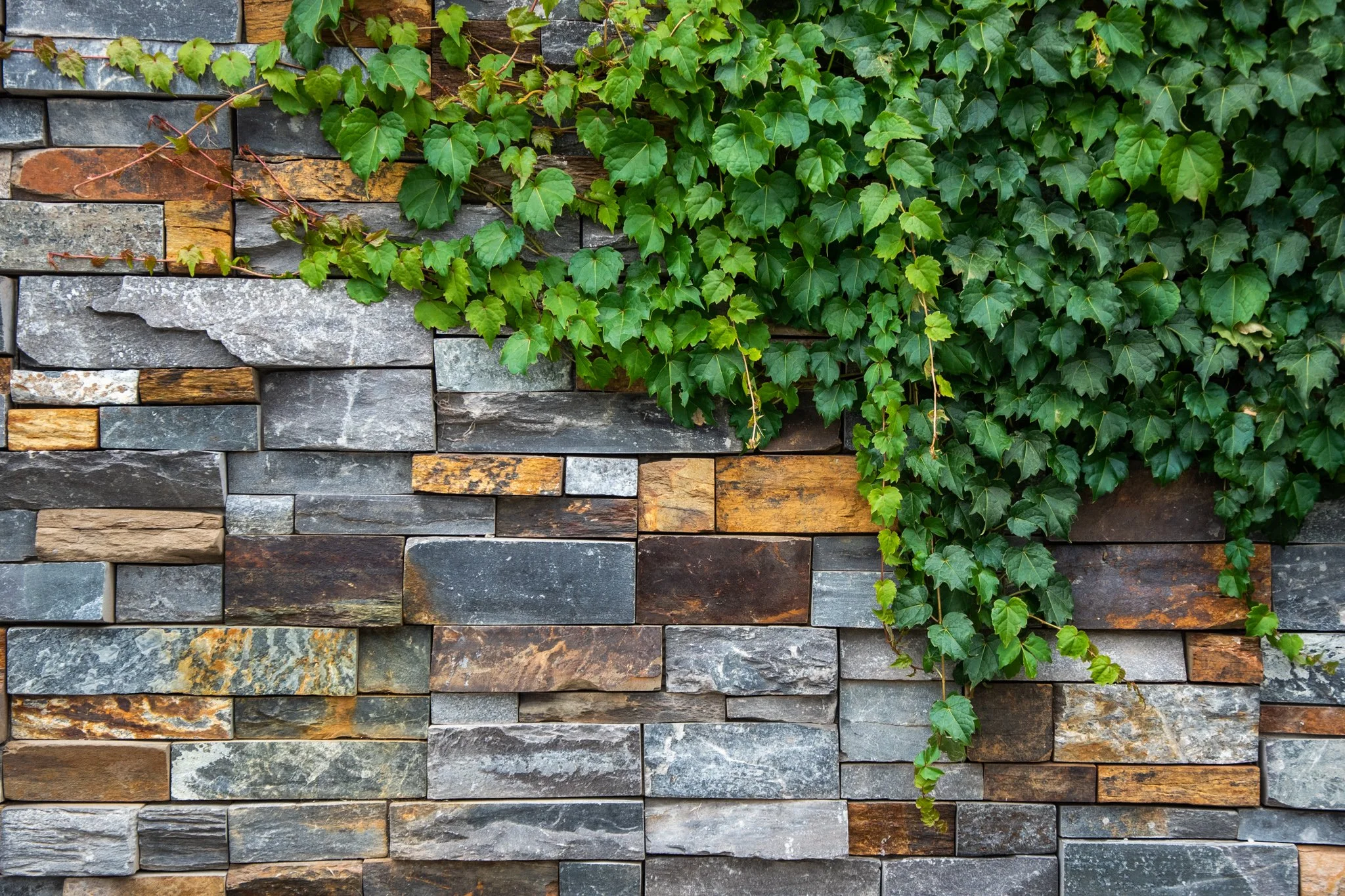 More photos of the Bentleigh East Garden, including close up look on the limestone wall, water feature, back yard timber deck and pergola.