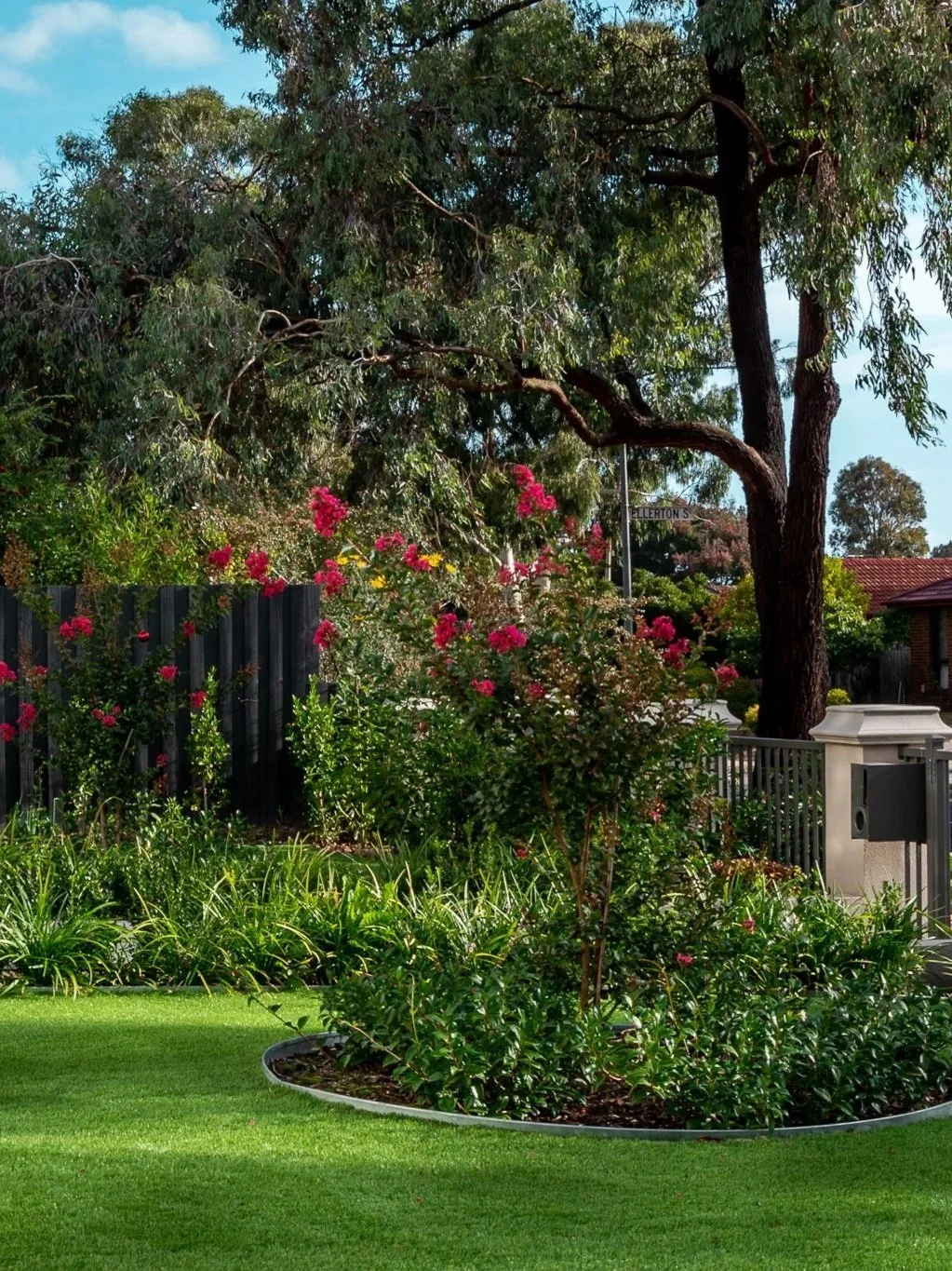 A front garden with a lot of greenery, including a large piece of lawn with trees and roses inside tree rings.