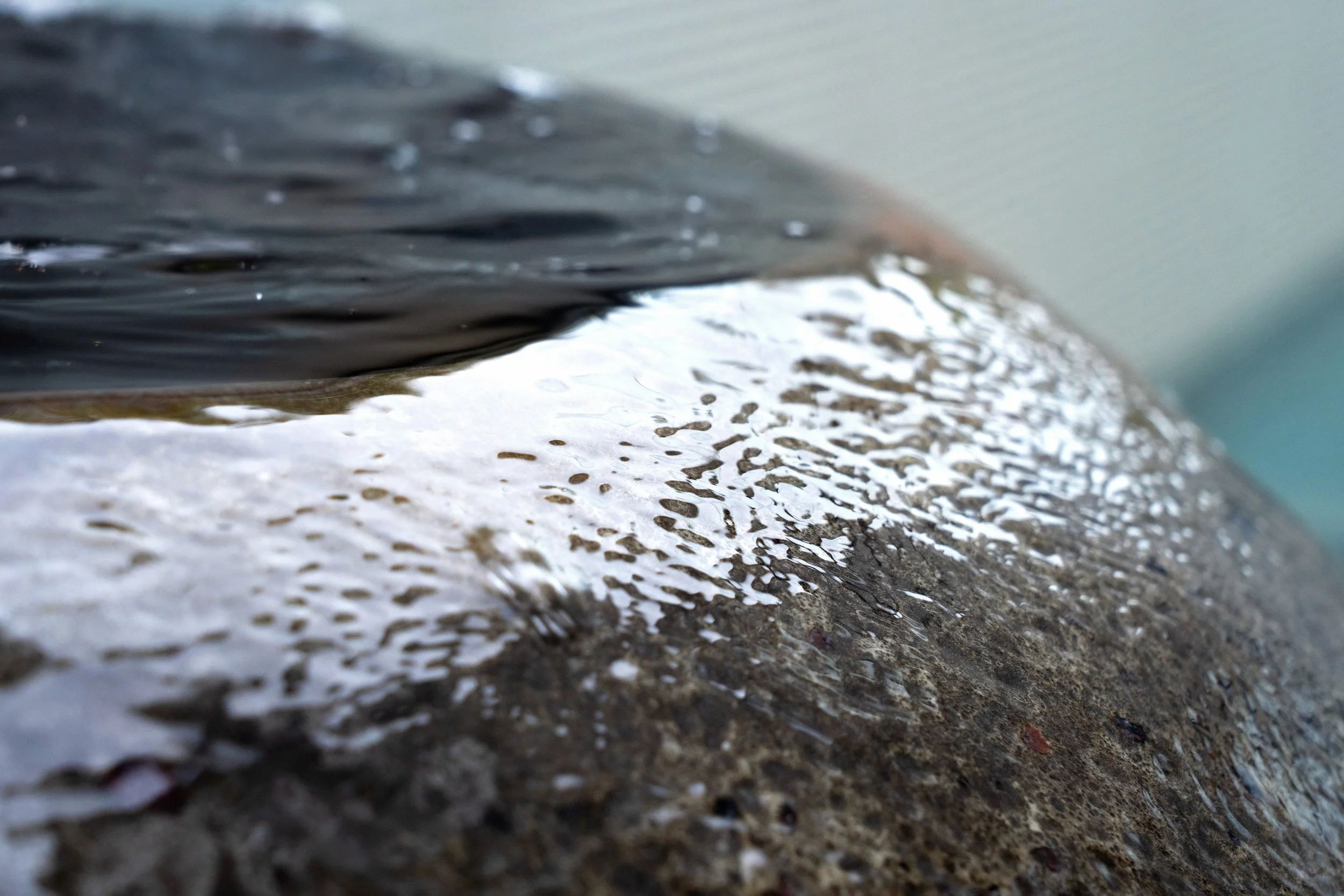 Close-up of a small stream or puddle of water flowing over rocks and wet ground.