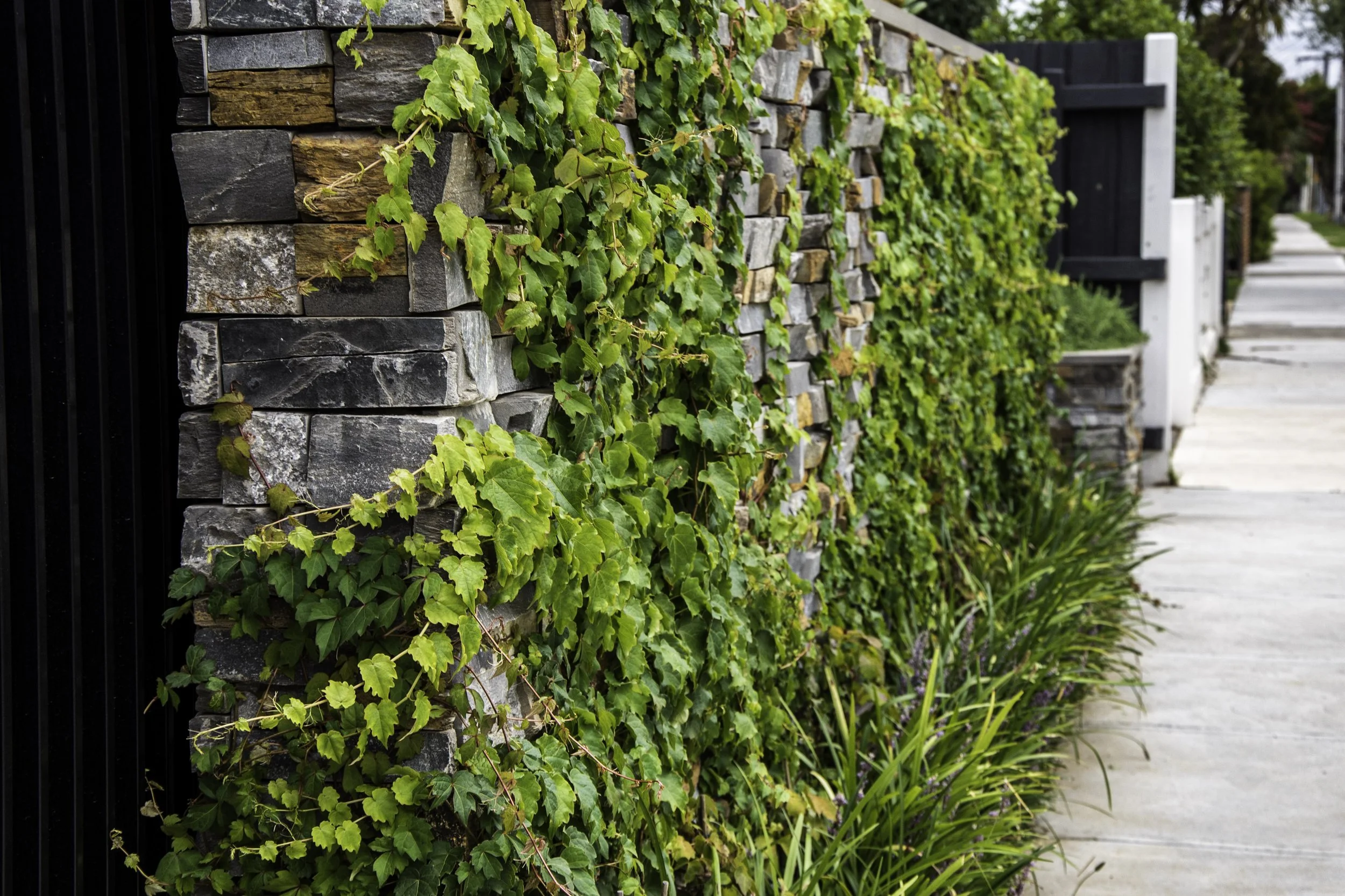 The limestone stacked masonry front wall are constructed with different color limestone, creating a interesting and eye-catching look together with the climbers.