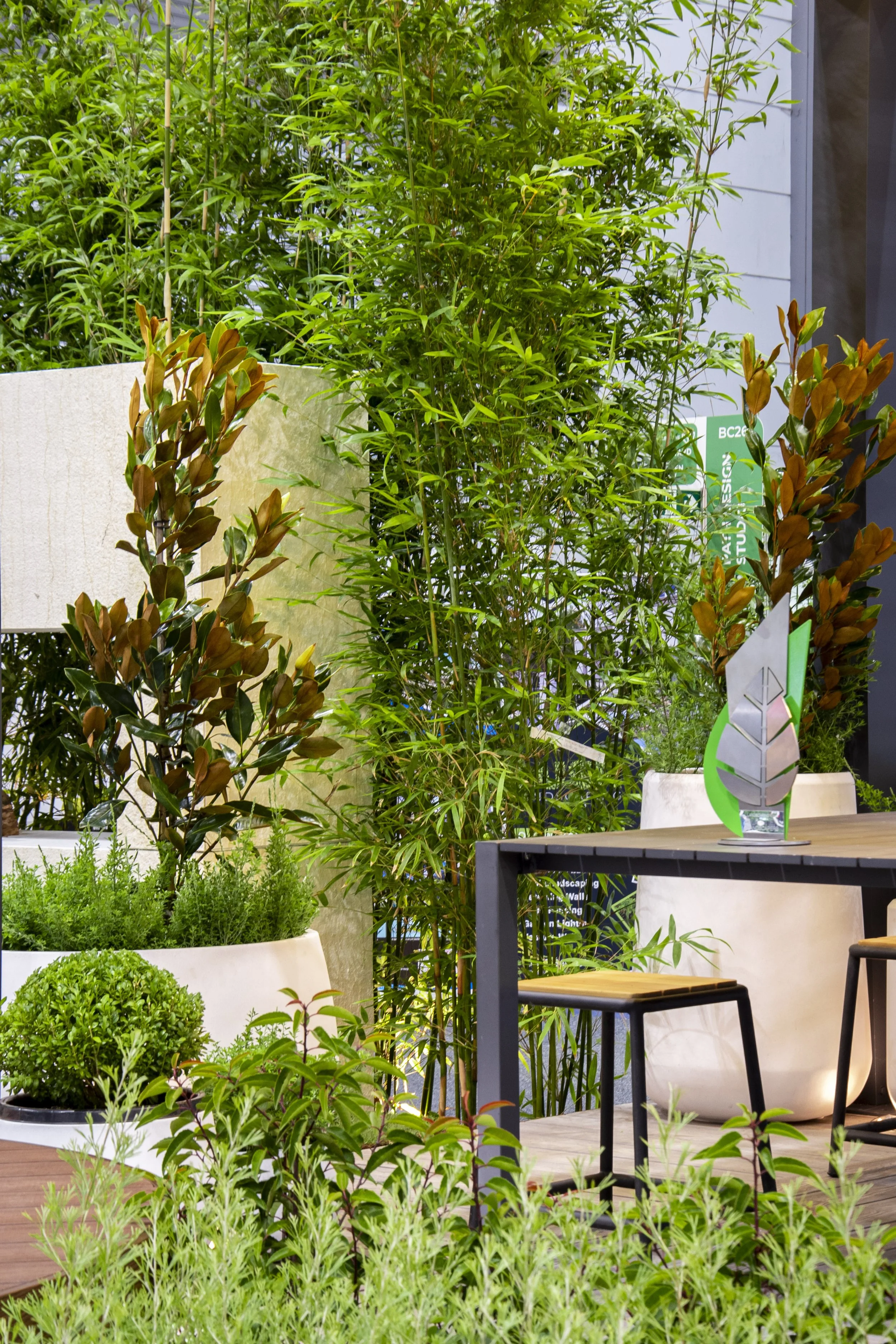 Indoor garden display with various potted green plants, including tall bamboo and small rounded bushes, set on a wooden floor with a black metal table and chairs.