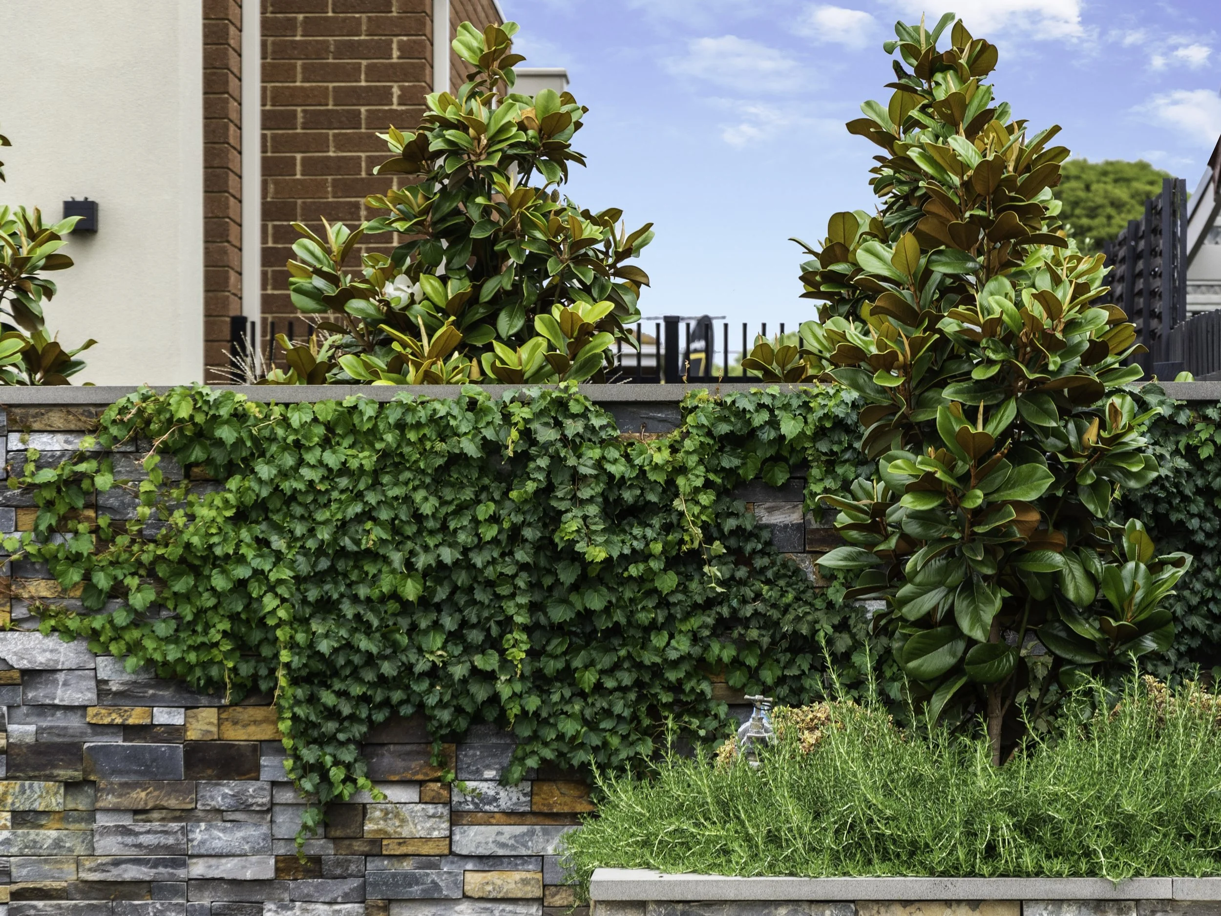 The limestone stacked masonry front wall are constructed with different color limestone, creating a interesting and eye-catching look together with the climbers.