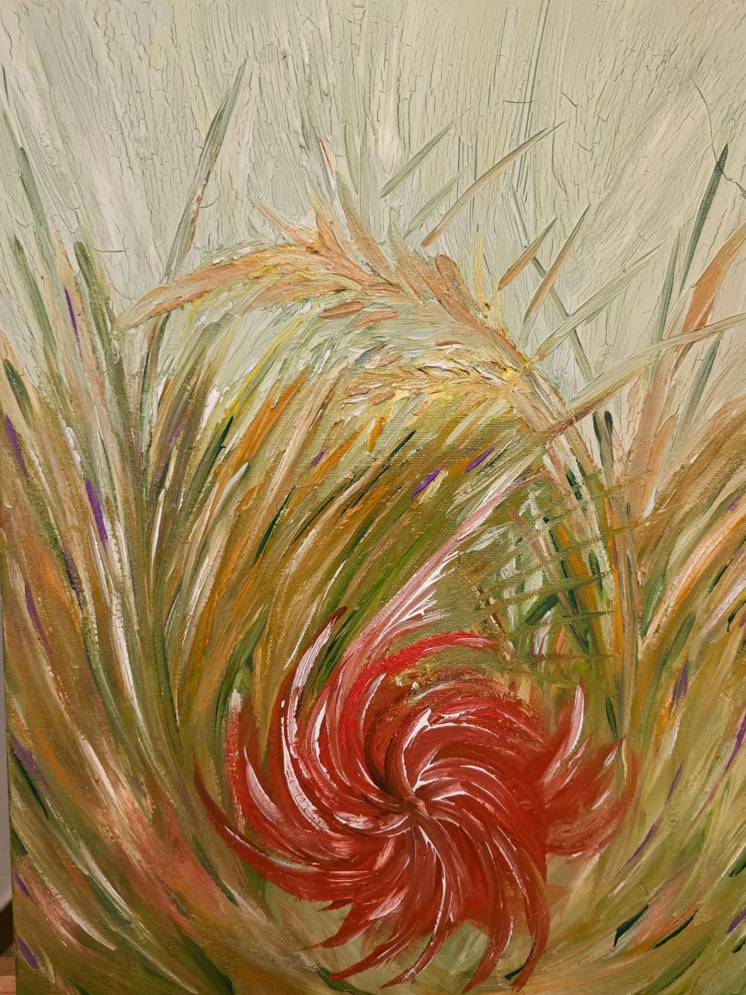 Heart of the Field