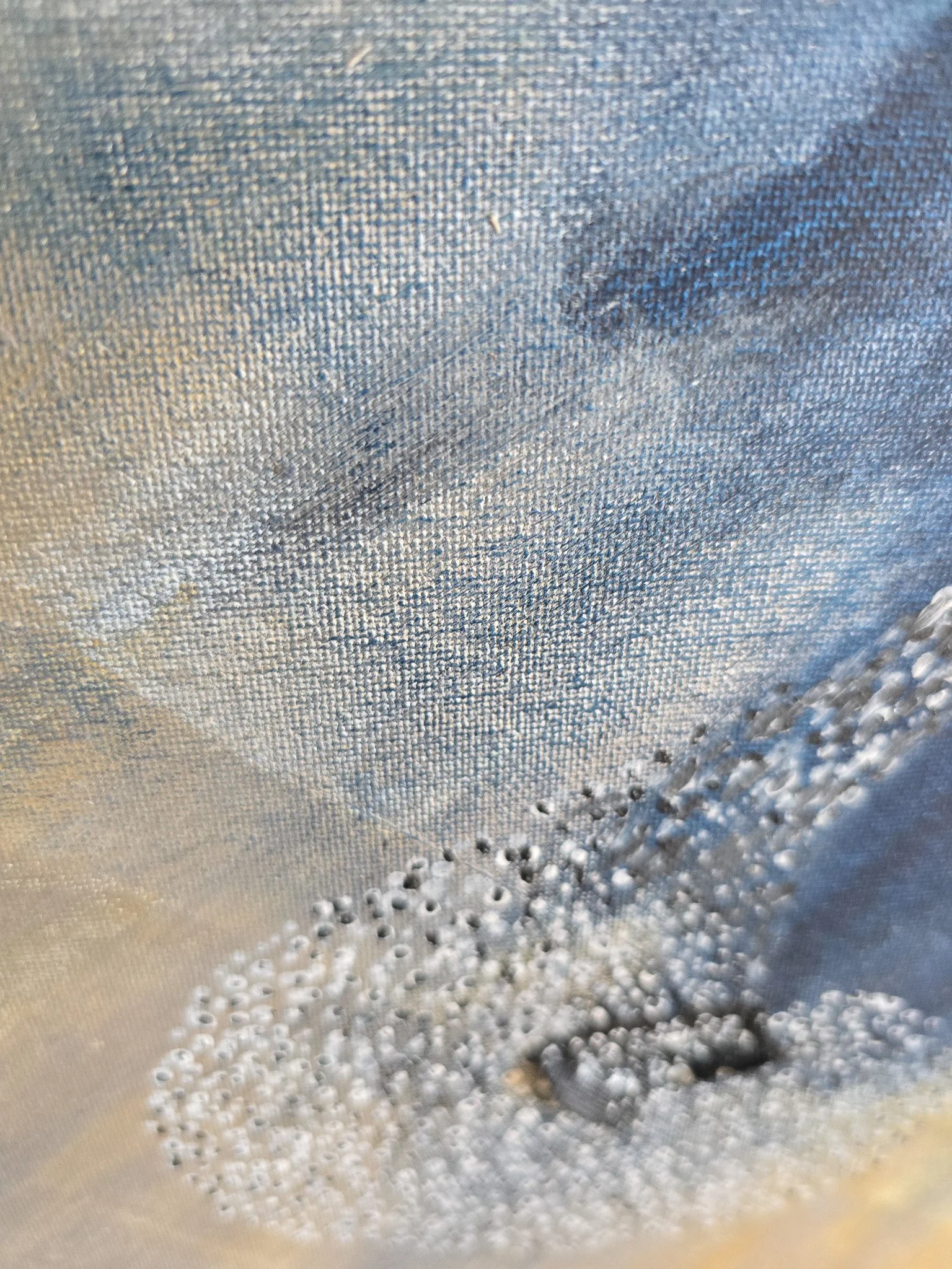20260814_114629.jpg