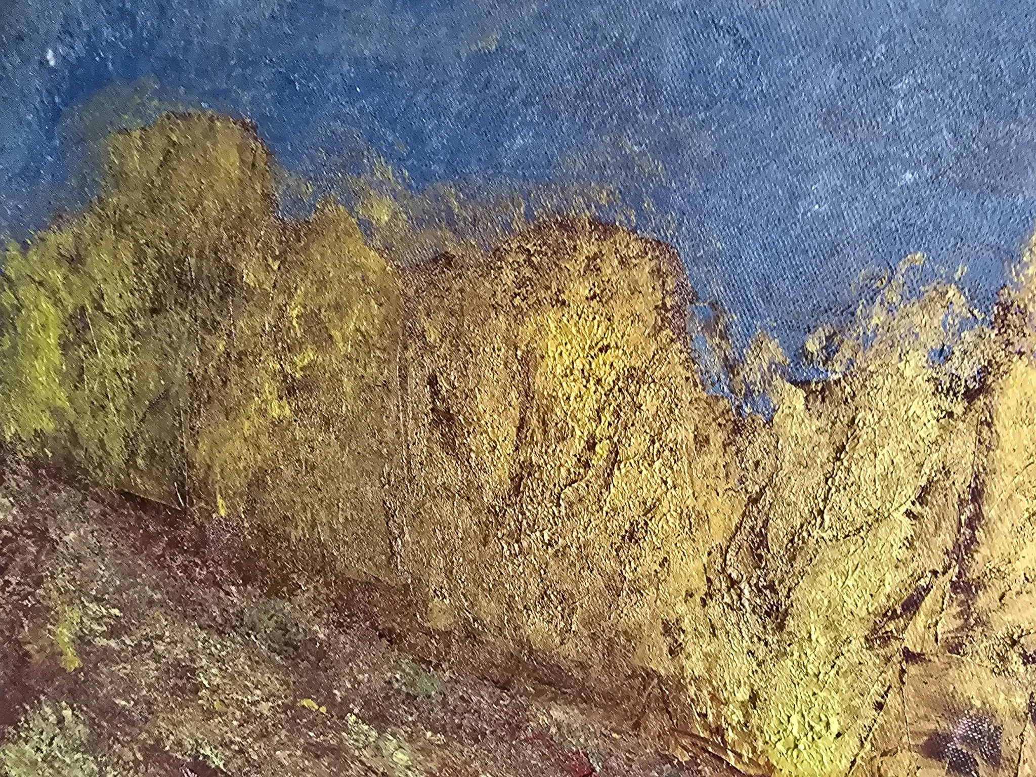 20260814_115040.jpg