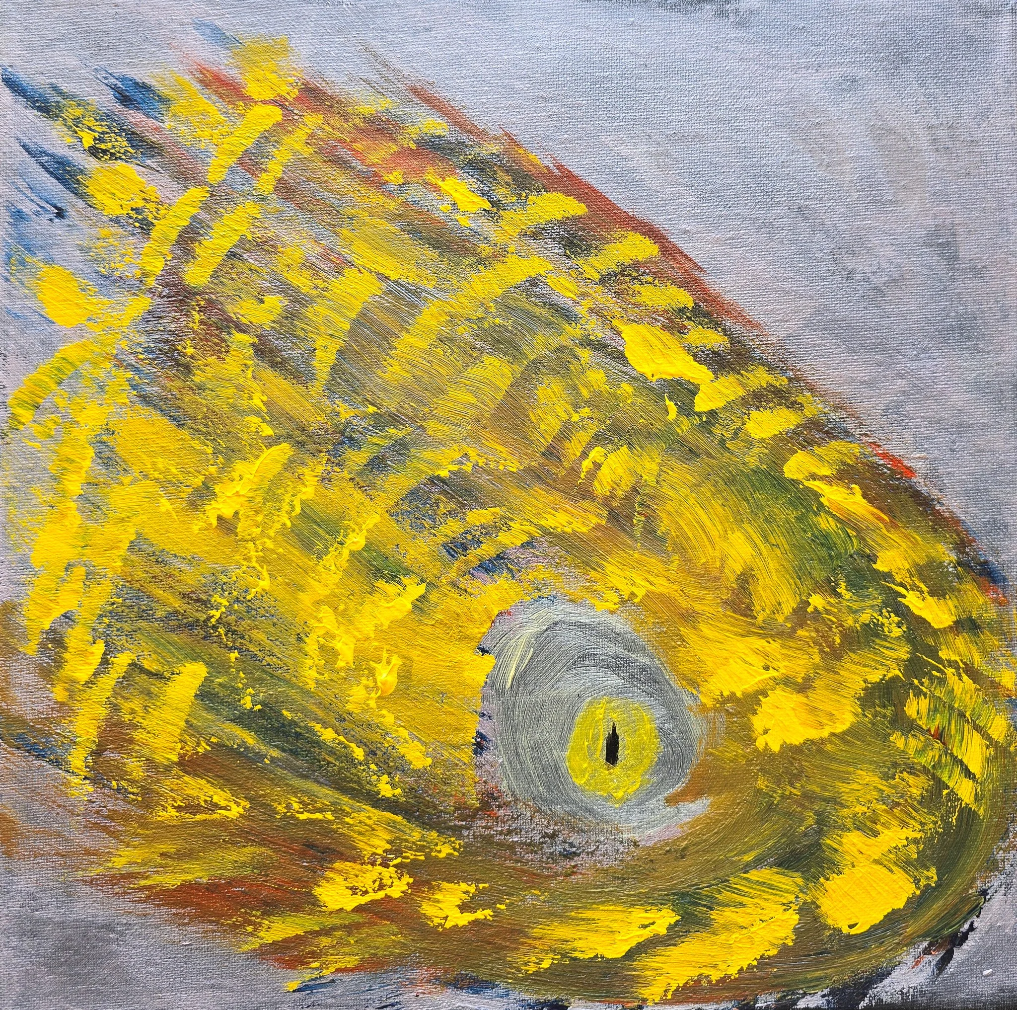Snake head