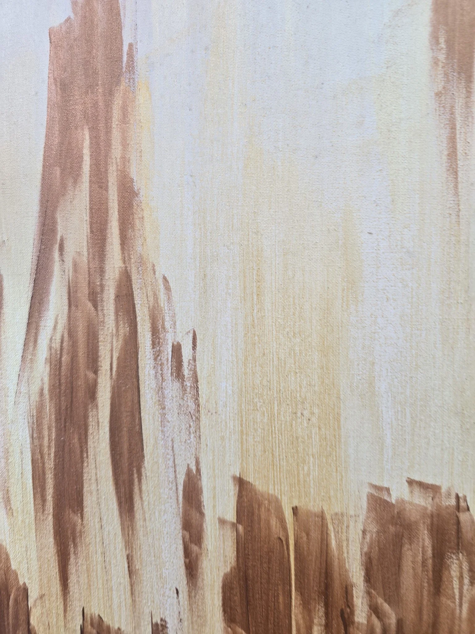 20260814_114245.jpg