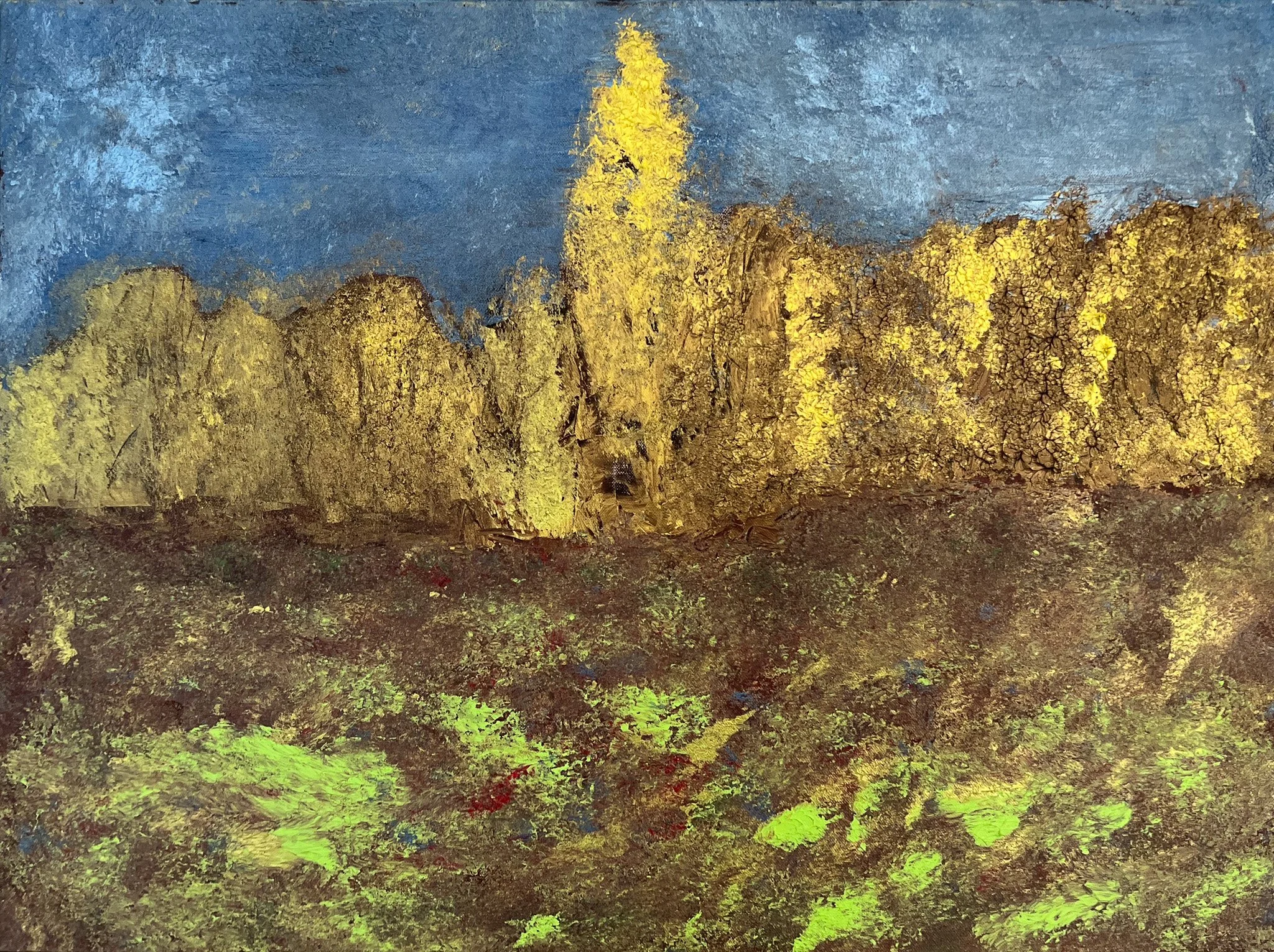 Forest edge, autumn