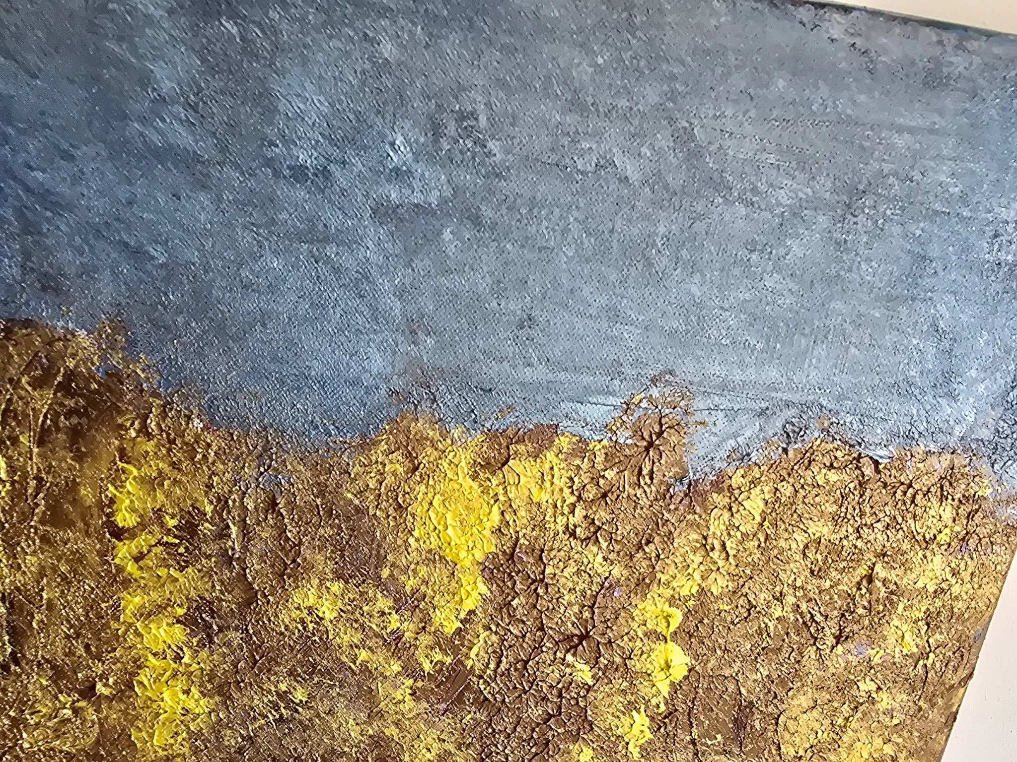 20260814_115046.jpg