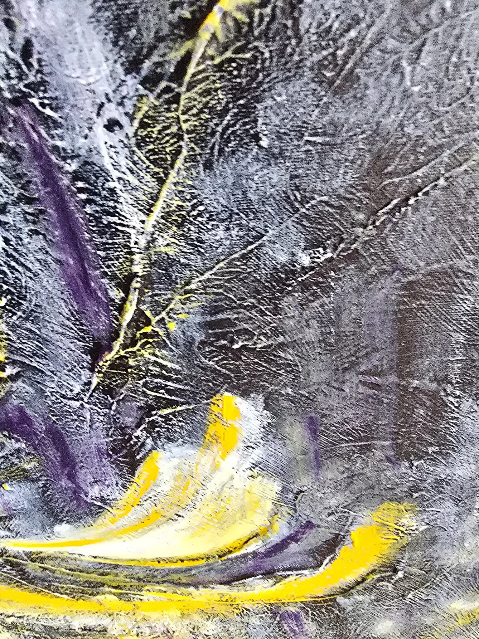 20260814_115349.jpg