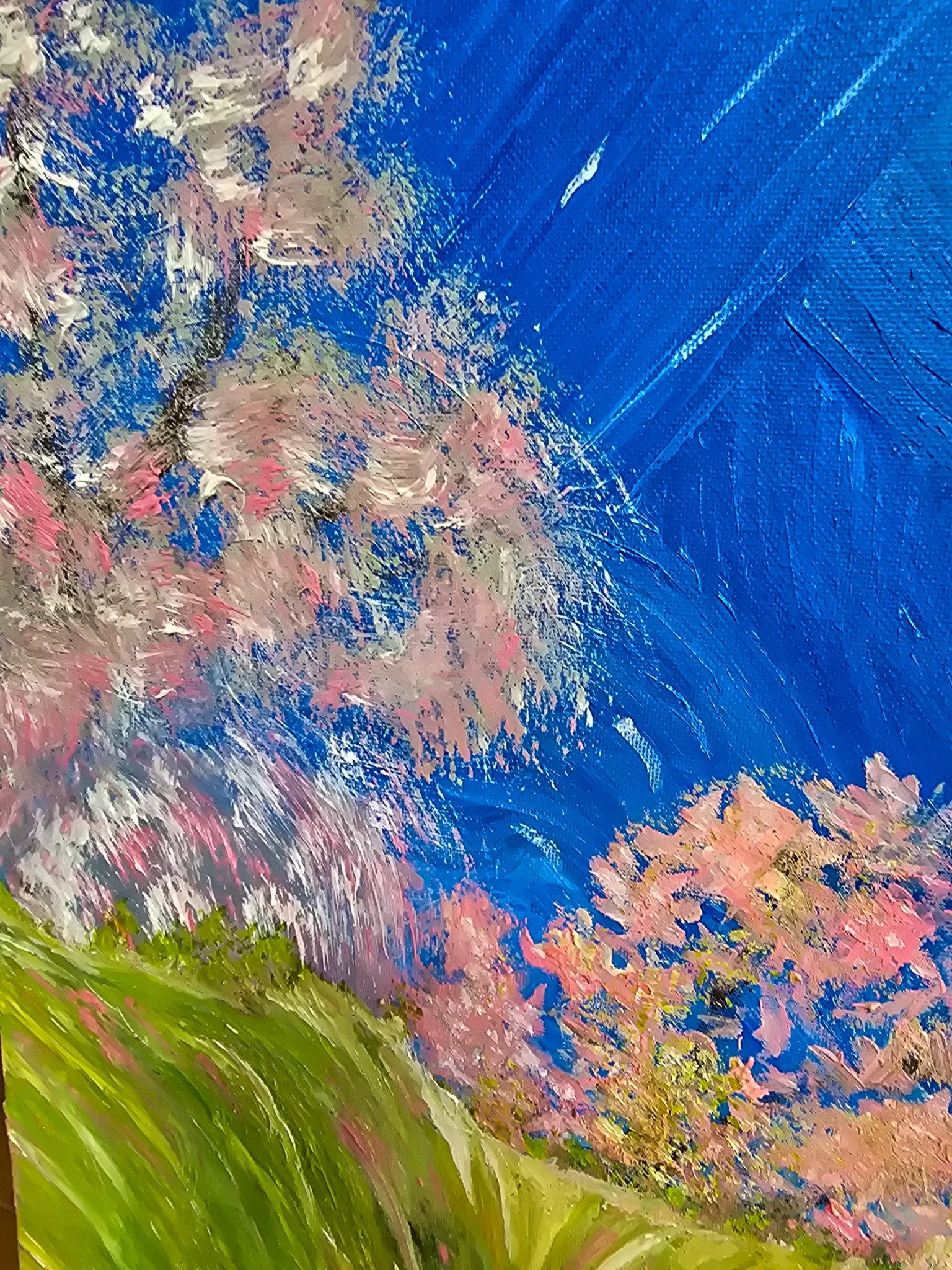 20260801_124132.jpg