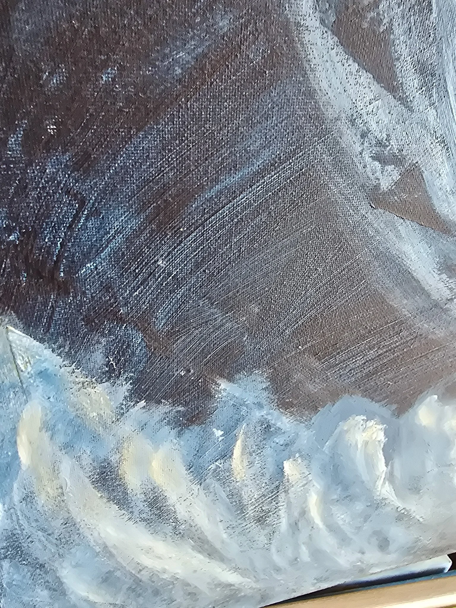 20260814_114723.jpg