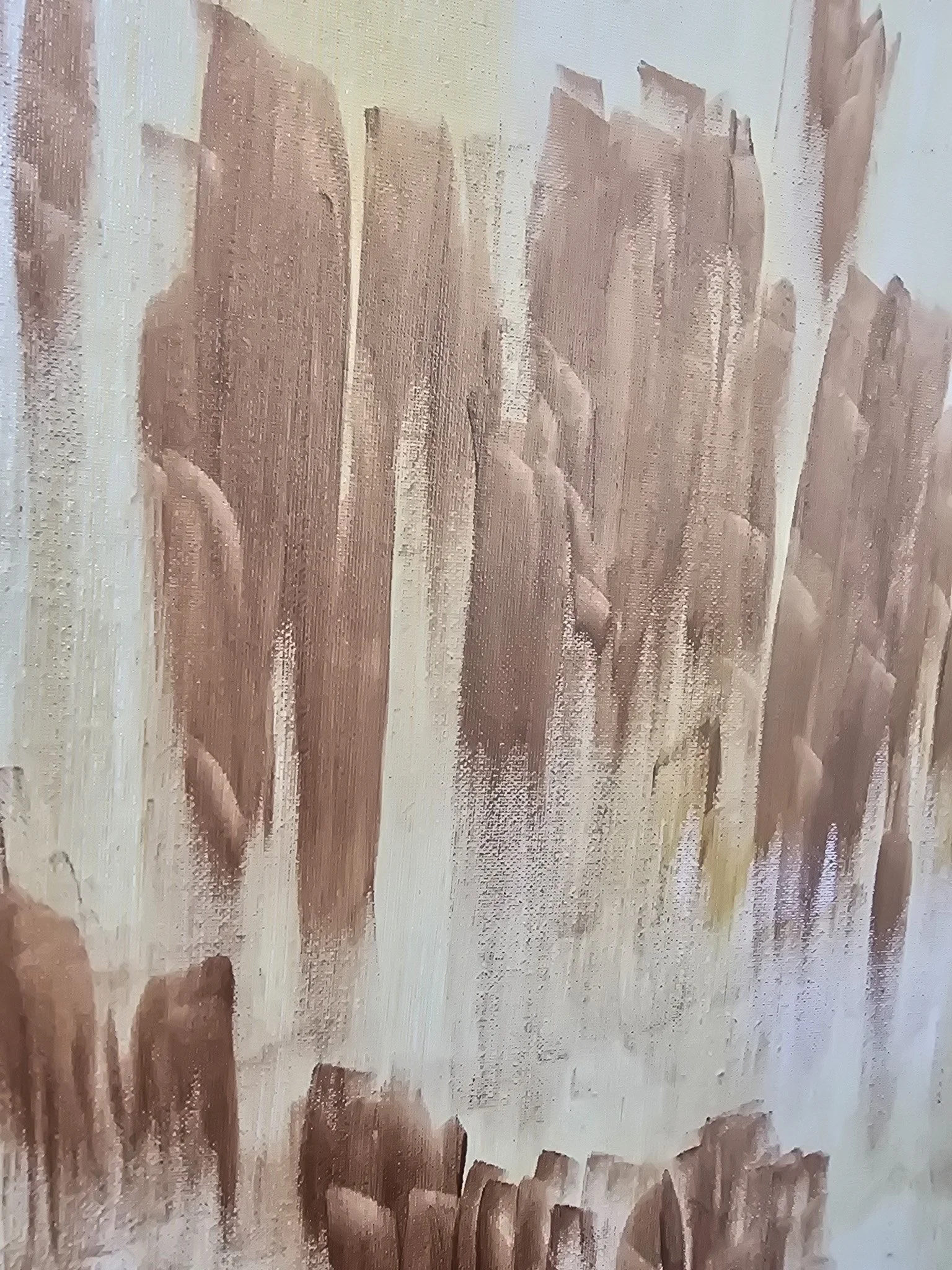 20260814_114255.jpg