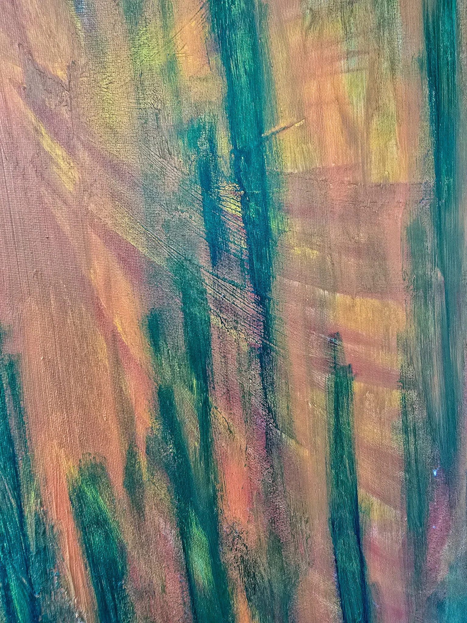 20260814_104907.jpg