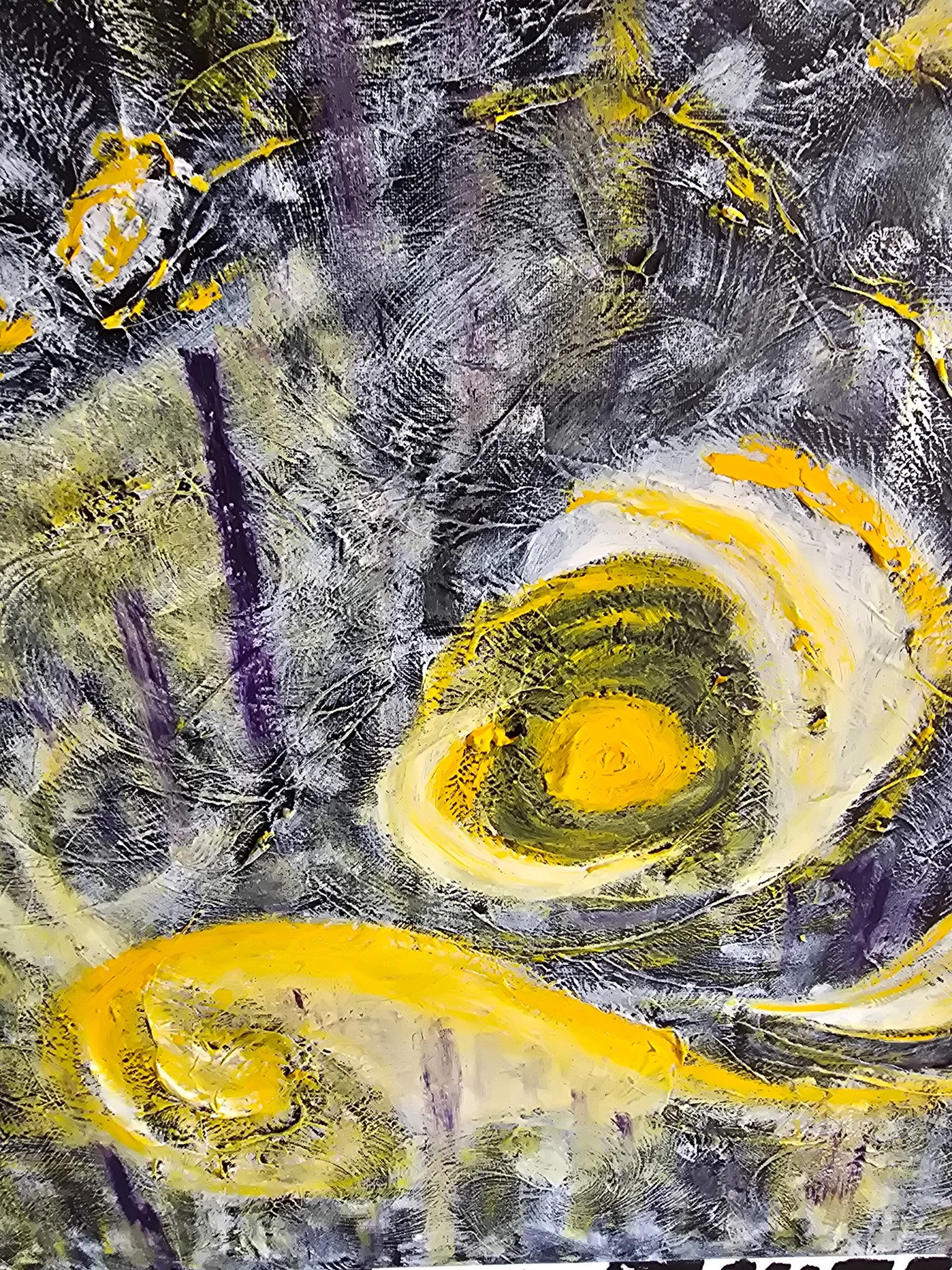 20260814_115354.jpg