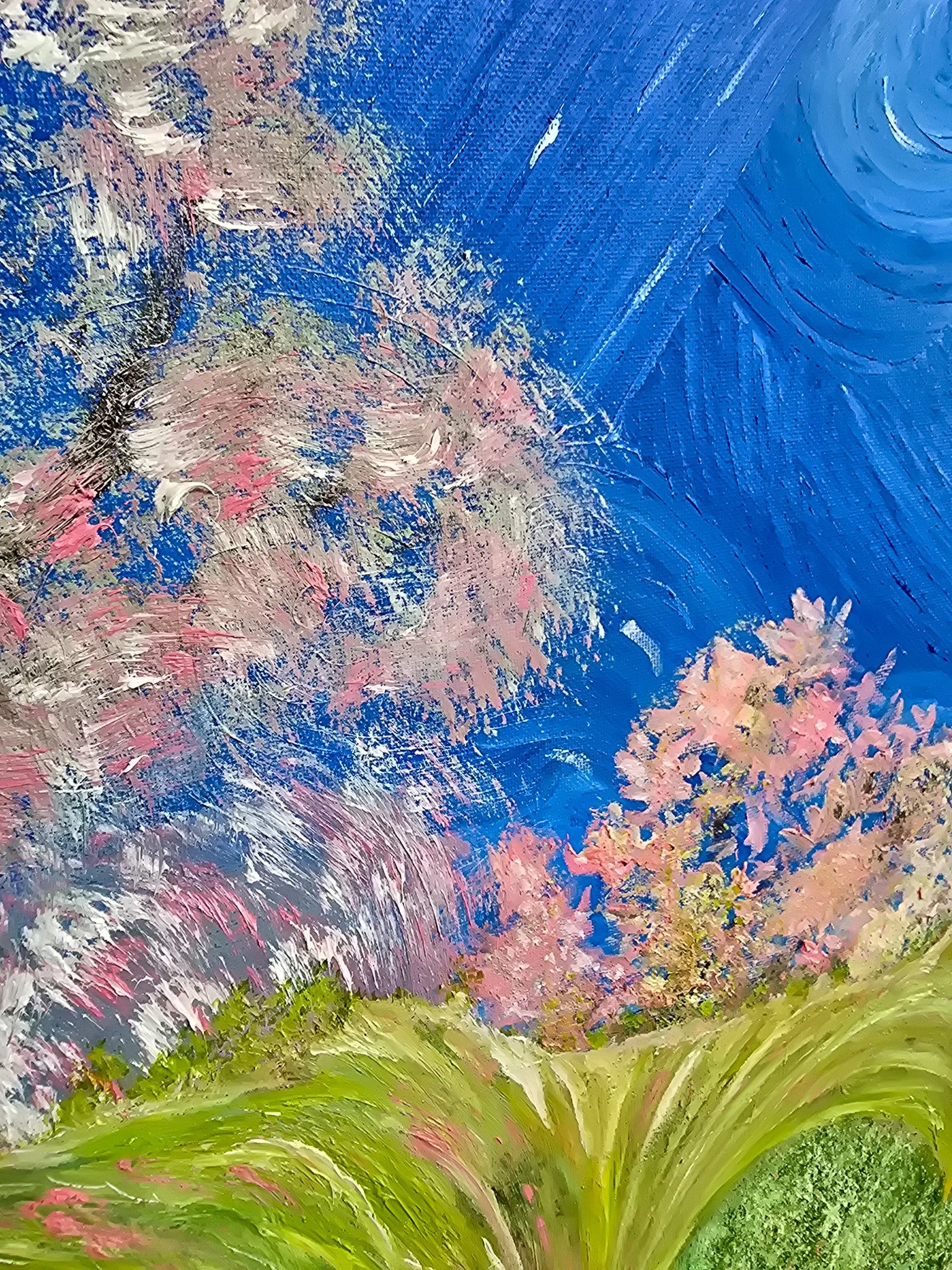 20260801_124147.jpg