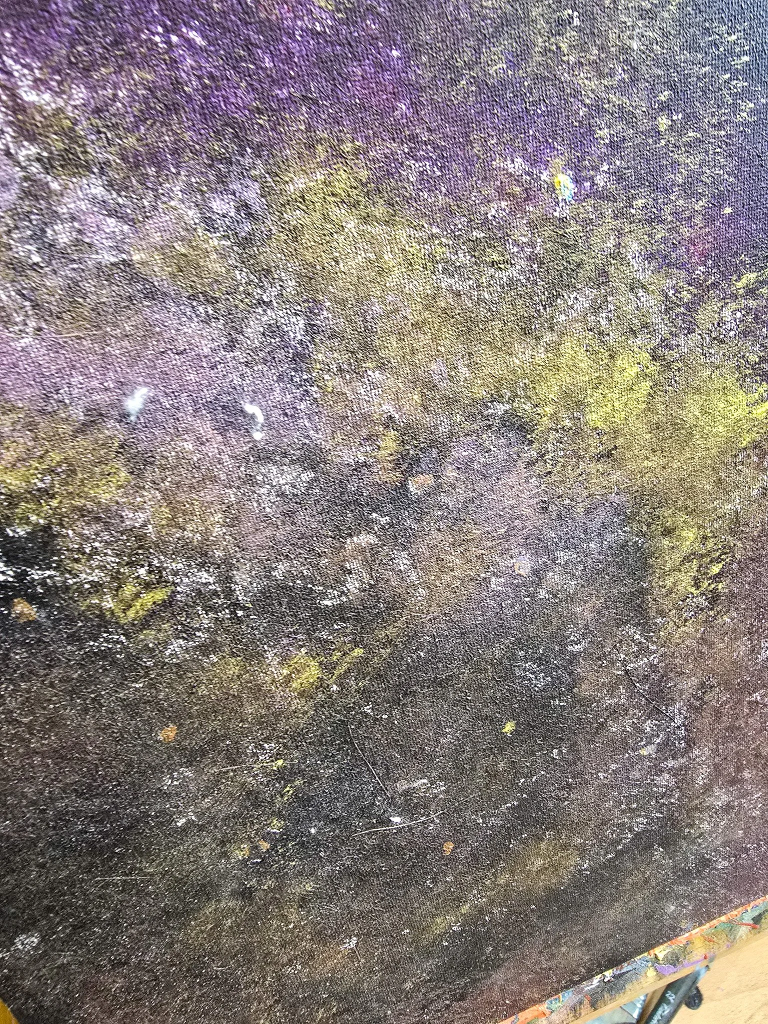 20260801_115759.jpg