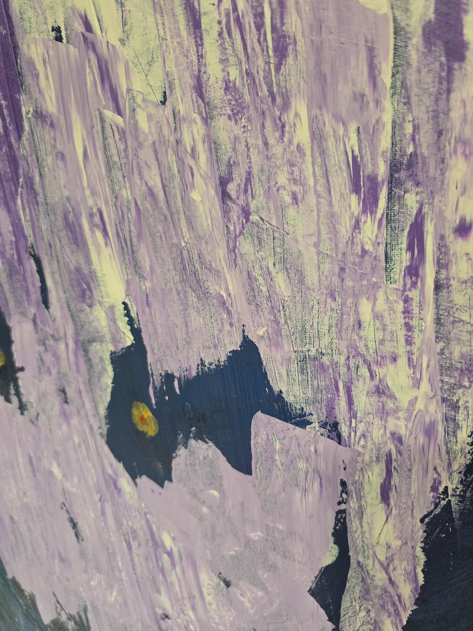 20260814_114444.jpg