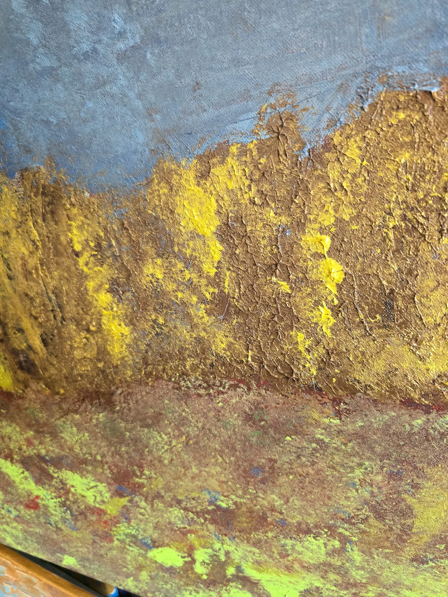 20260814_115026.jpg