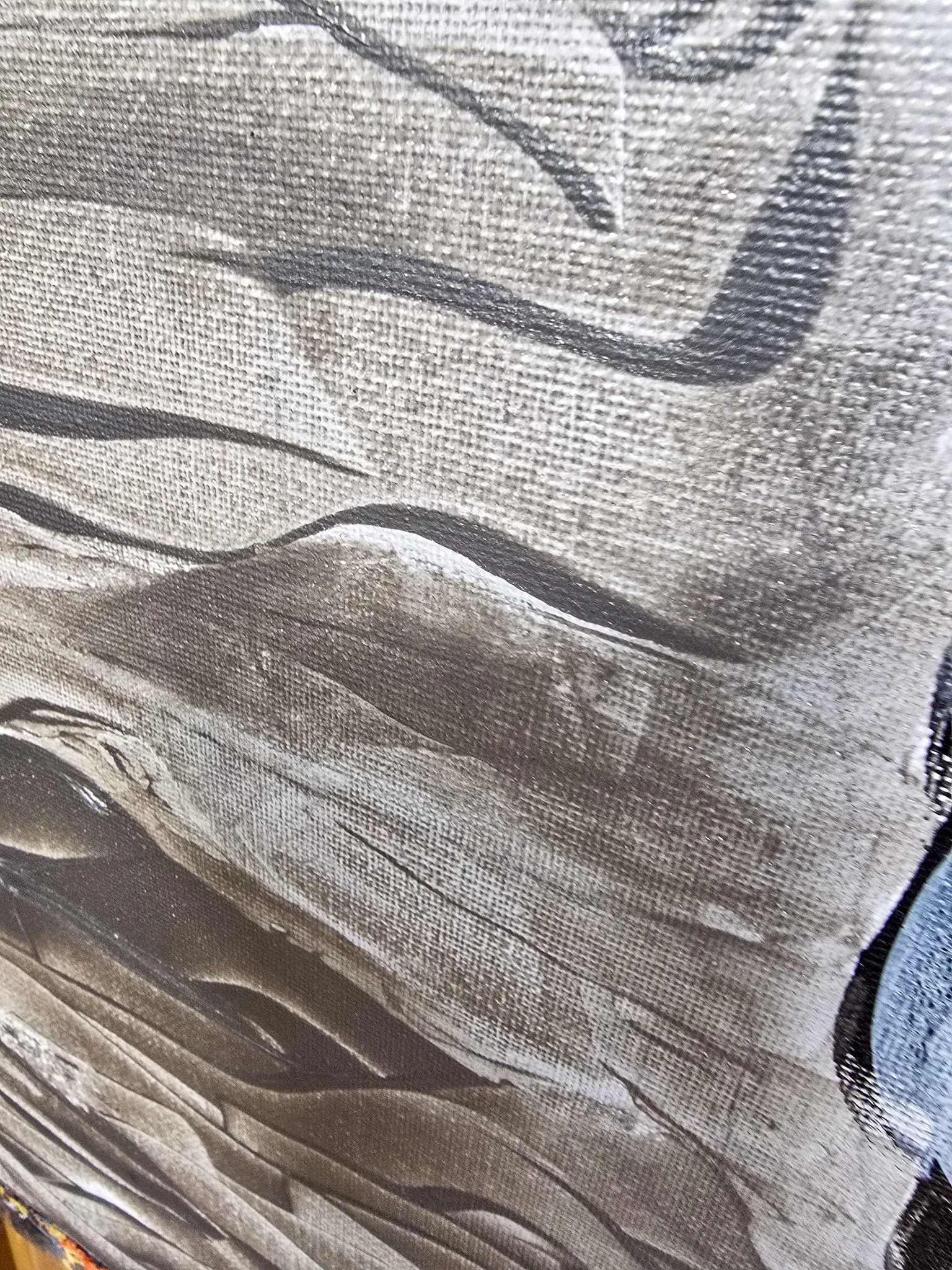 20260801_113758.jpg