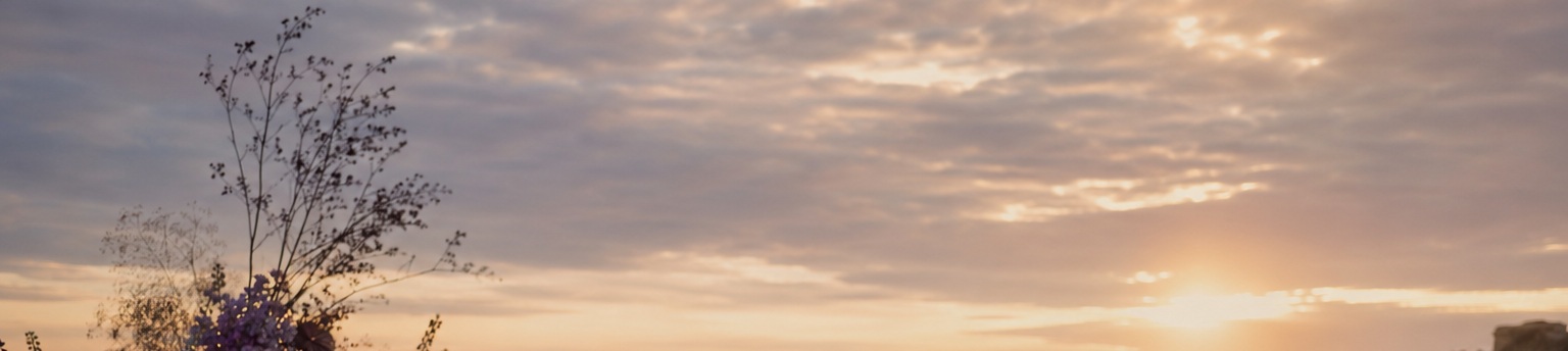 A sunset sky with scattered clouds and the sun near the horizon, with purple flowers and a tree in the foreground.