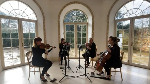 Birds of a Feather performance