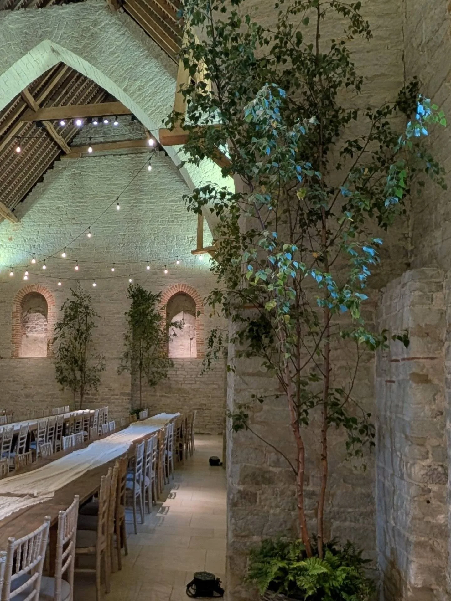 @tithebarn Petersfield  is such a lovely building to put trees in
#treehire #weddingdecoration #birchtreehire #eventhire