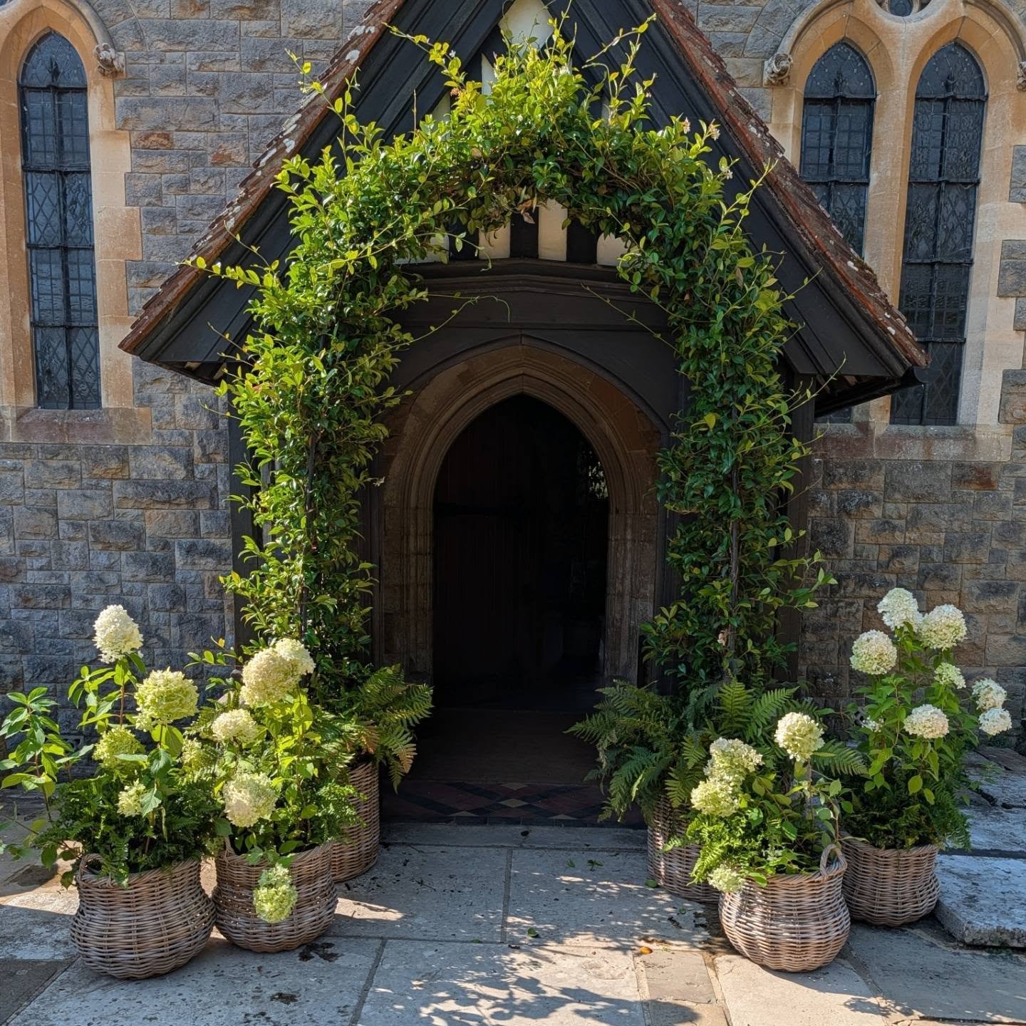Our Jasmine arch fits nicely around most church doors and when not flowering is a blank canvas for a florist to decorate 
Here with our small wicker baskets of paniculata  hydrangeas 

#churchentrance #churchdecoration #weddingdecoration#jasminearch 