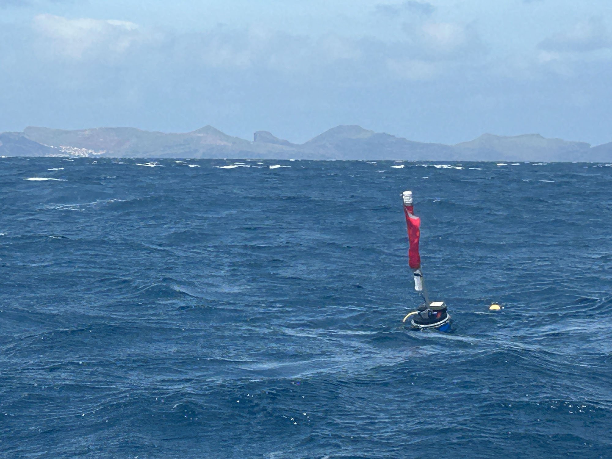 Field work in Madeira | April 2026