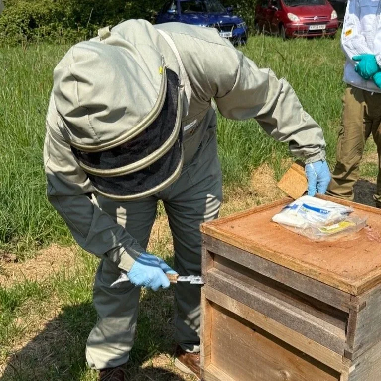 A BEE-MAID’S TALE