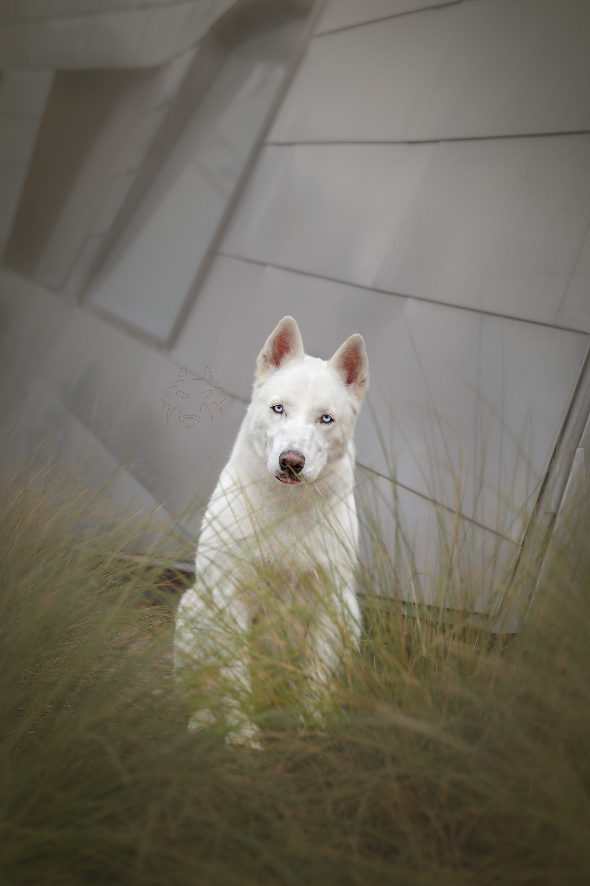 IMG_2386-Edit.jpg