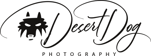Desert Dog Photography