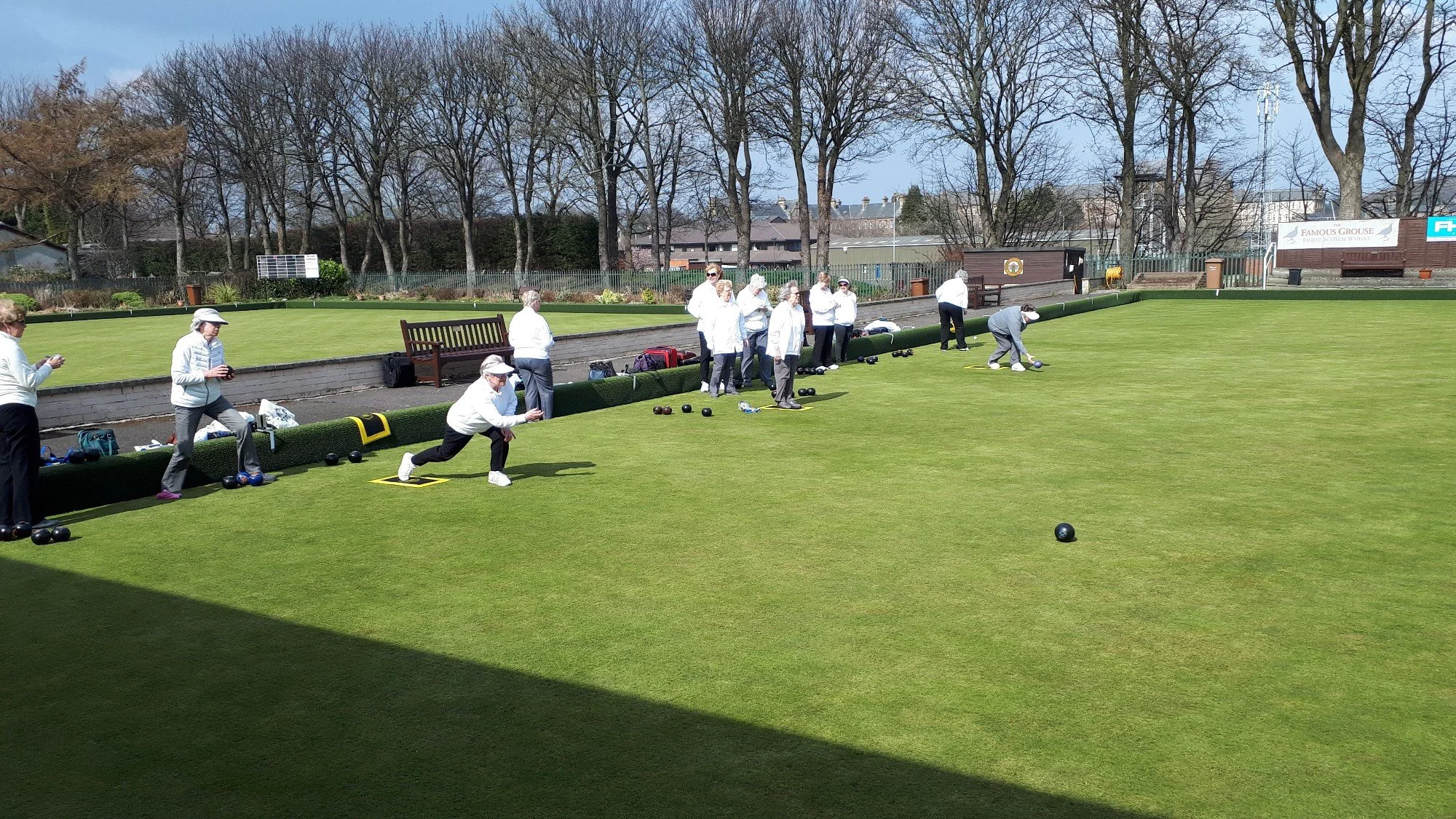 A group of elderly women playing lawn bowls on a green field on a sunny day, with some standing and others actively delivering bowls.