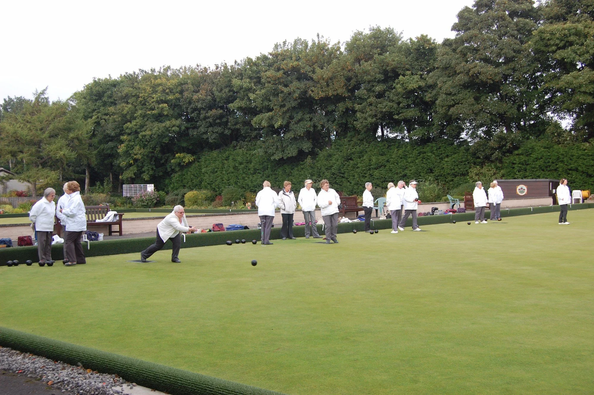A group of elderly people playing lawn bowling on a green field surrounded by bushes and trees during daytime.