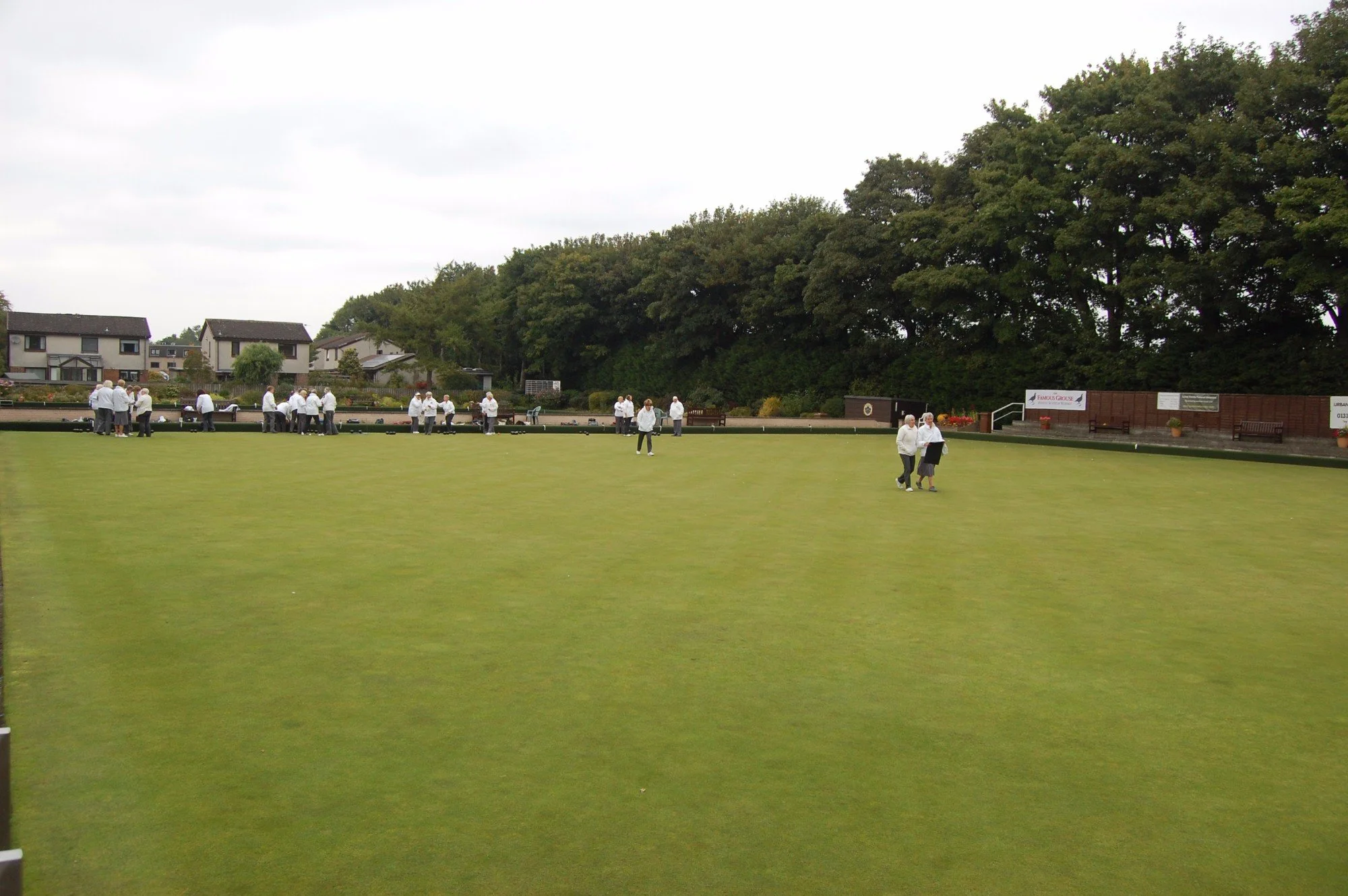 People gathered on a lawn playing lawn bowls, with houses and trees in the background on a cloudy day.