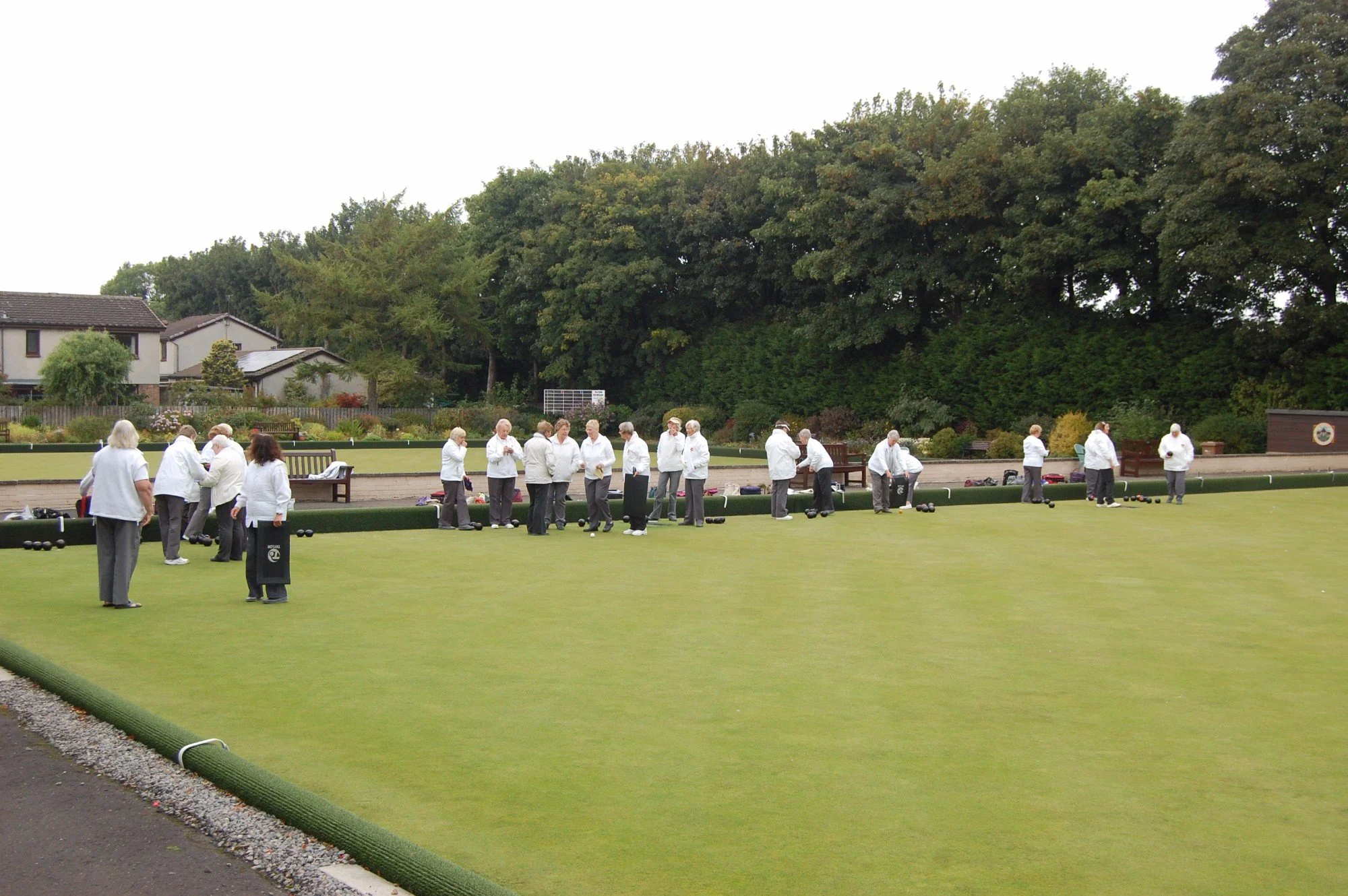 A group of elderly people playing lawn bowls on a well-maintained green field outdoors, surrounded by trees and residential houses.