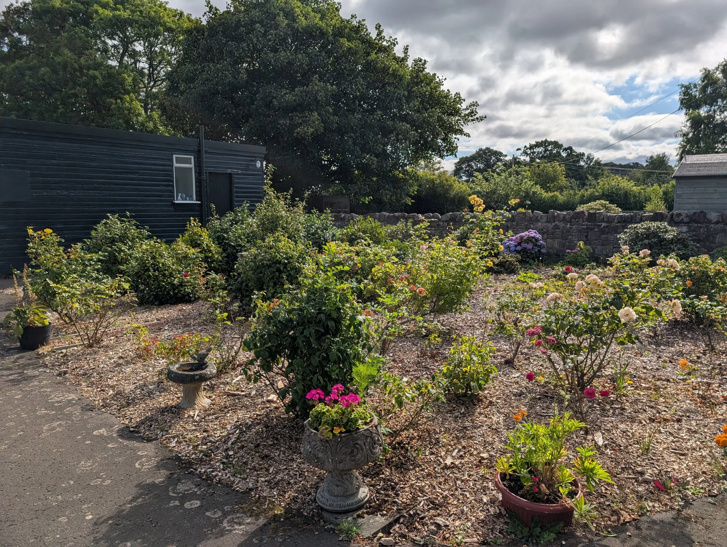 A garden with blooming flowers, potted plants, and a stone birdbath in the foreground. In the background, there are large trees, a black shed, and a stone wall. The sky is partly cloudy with sunlight breaking through.