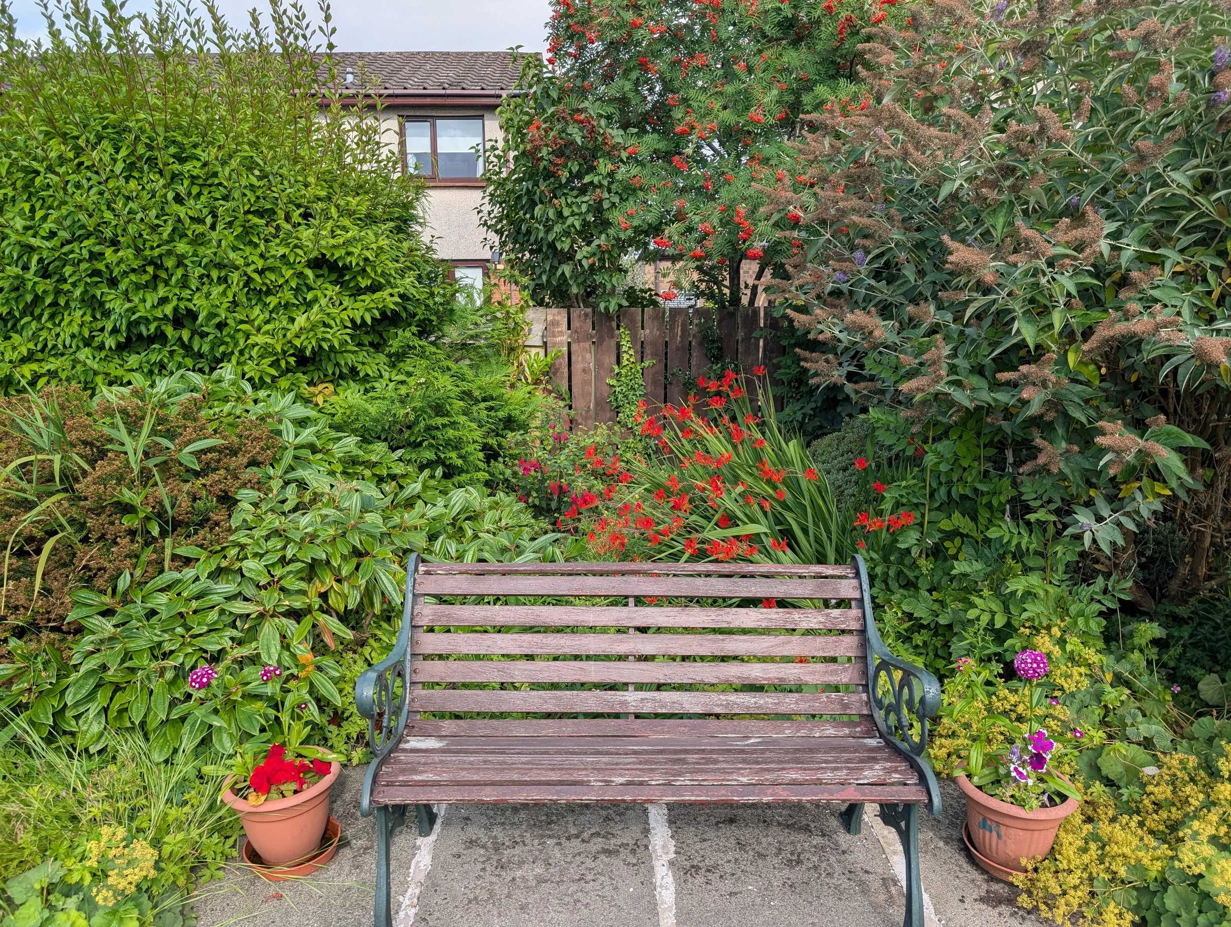 A garden scene with a wooden bench in the foreground, various potted flowers on either side, and lush green and flowering bushes behind. A house with a window and a tiled roof is visible in the background.
