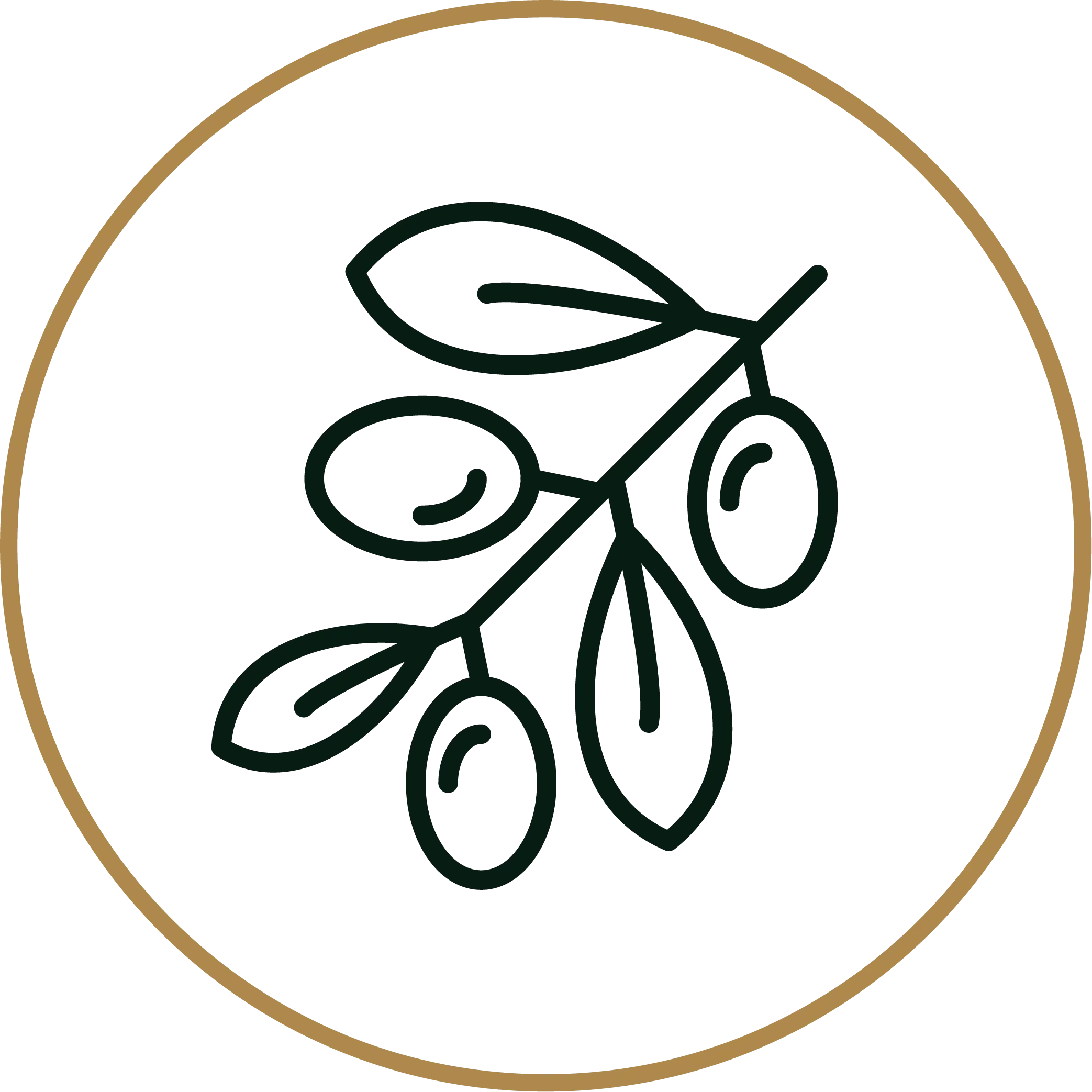 A black line drawing of a bicycle within a hexagonal shape, surrounded by a thick, tan border