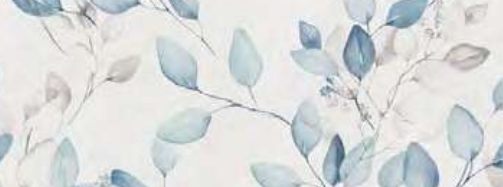 caudlie white mate 30x75.png