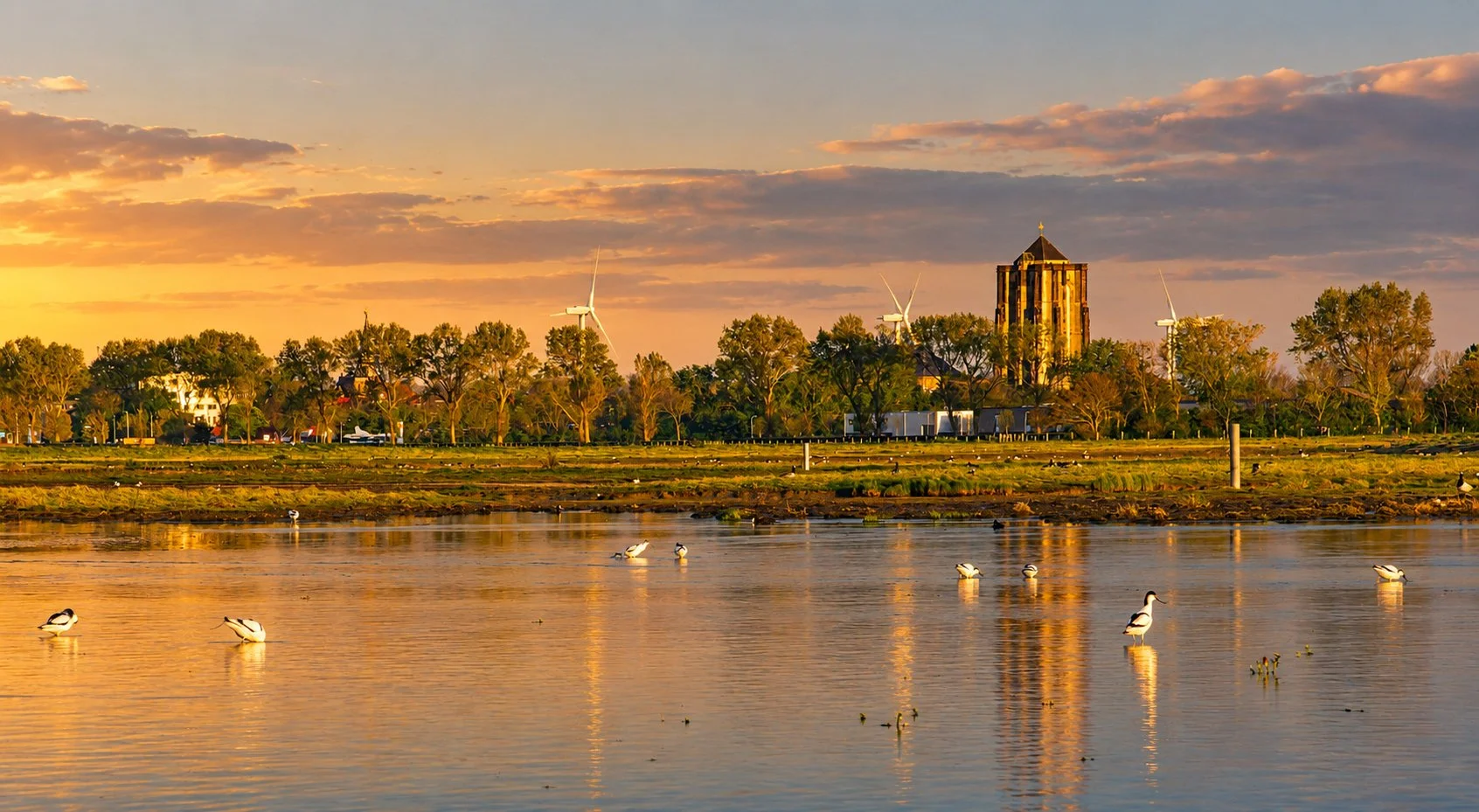 Zeeuwse polder in Kerkwerve met uitzicht op Zierikzee bij Zonsondergang