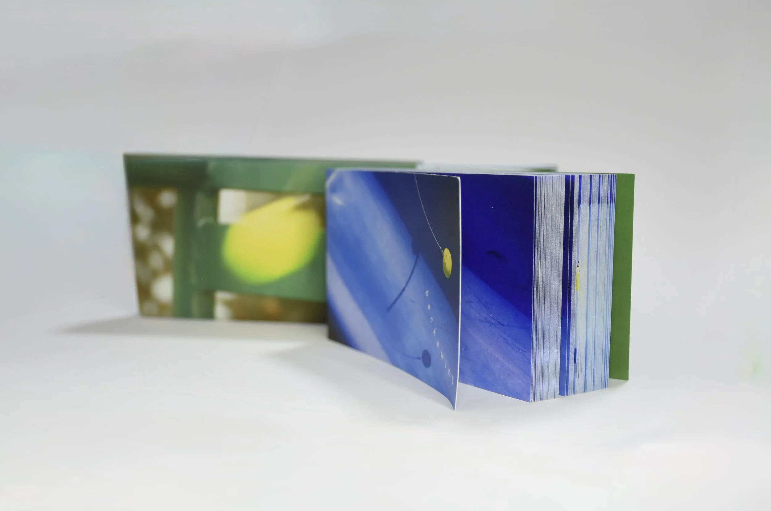 backswing (flipbook)